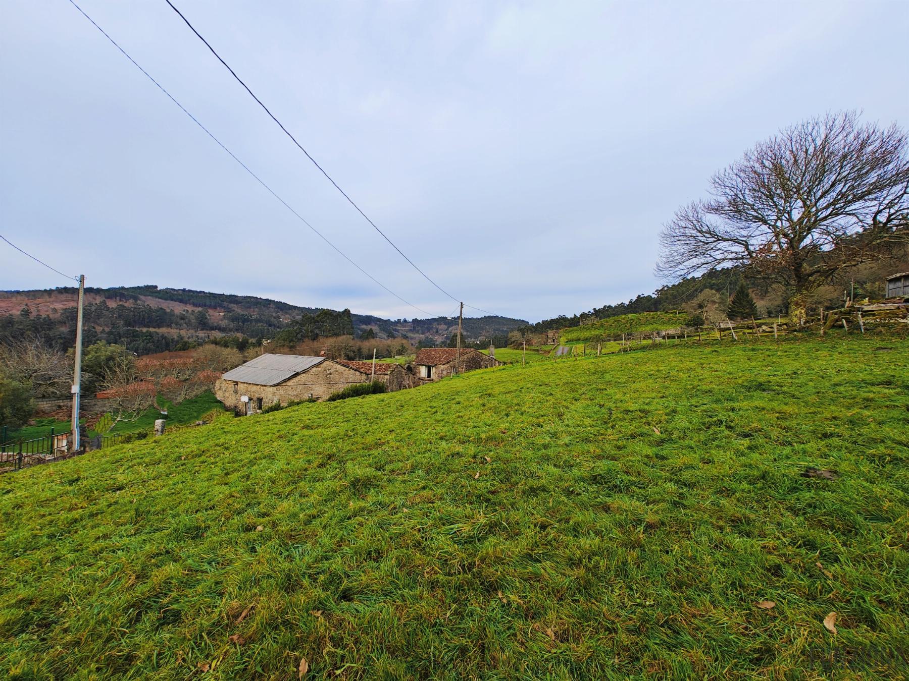 Venta de casa en Pontevedra