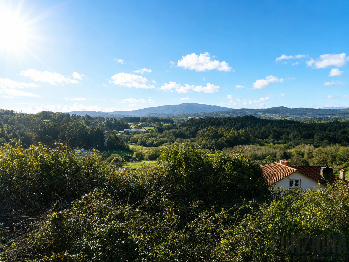 Vistas