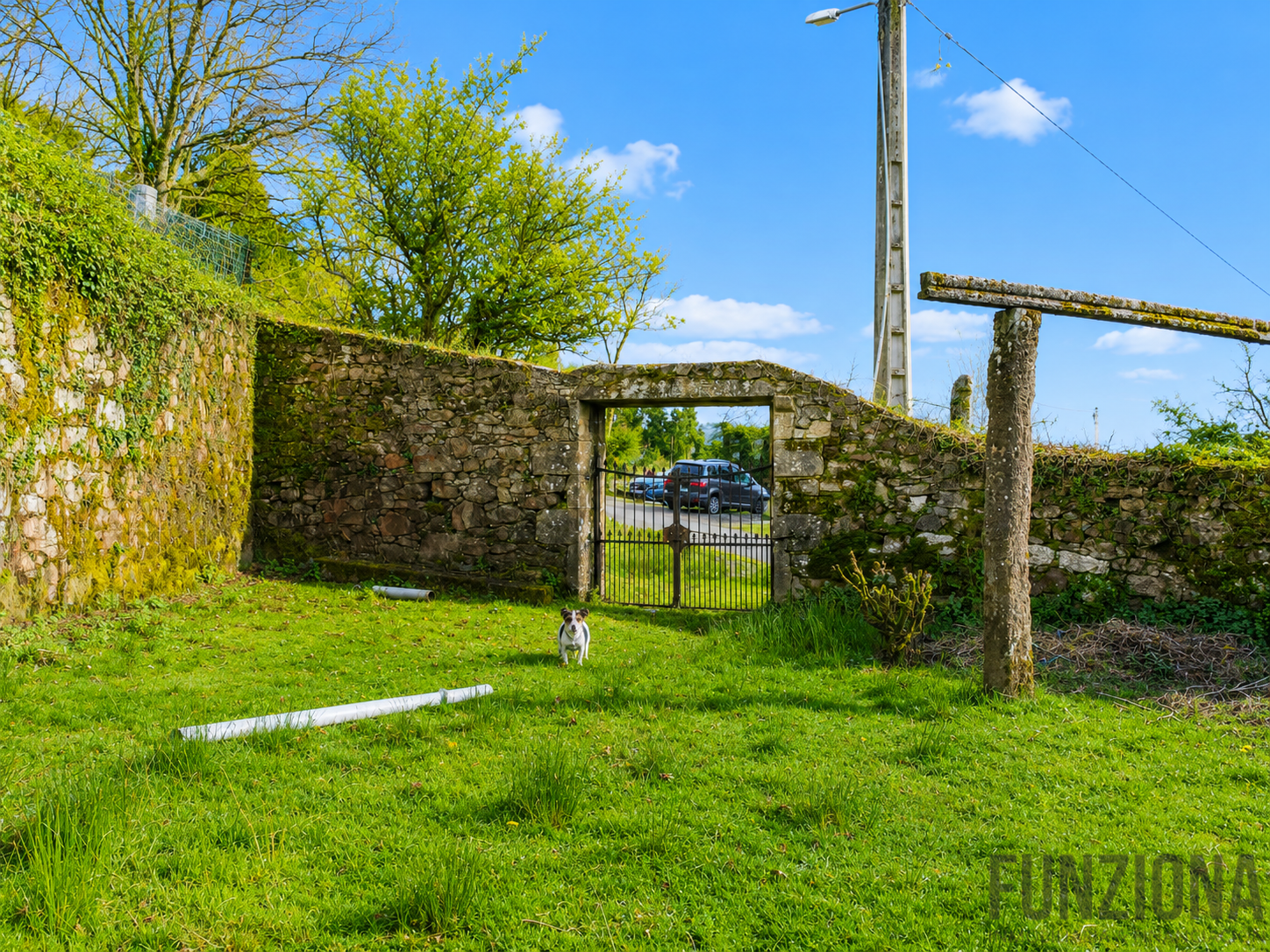 Entrada/Salida