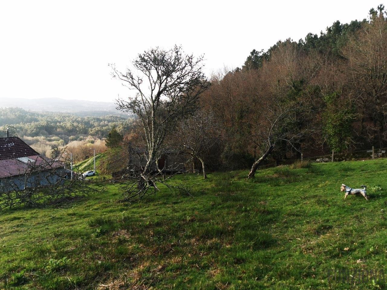 For sale of house in Moraña