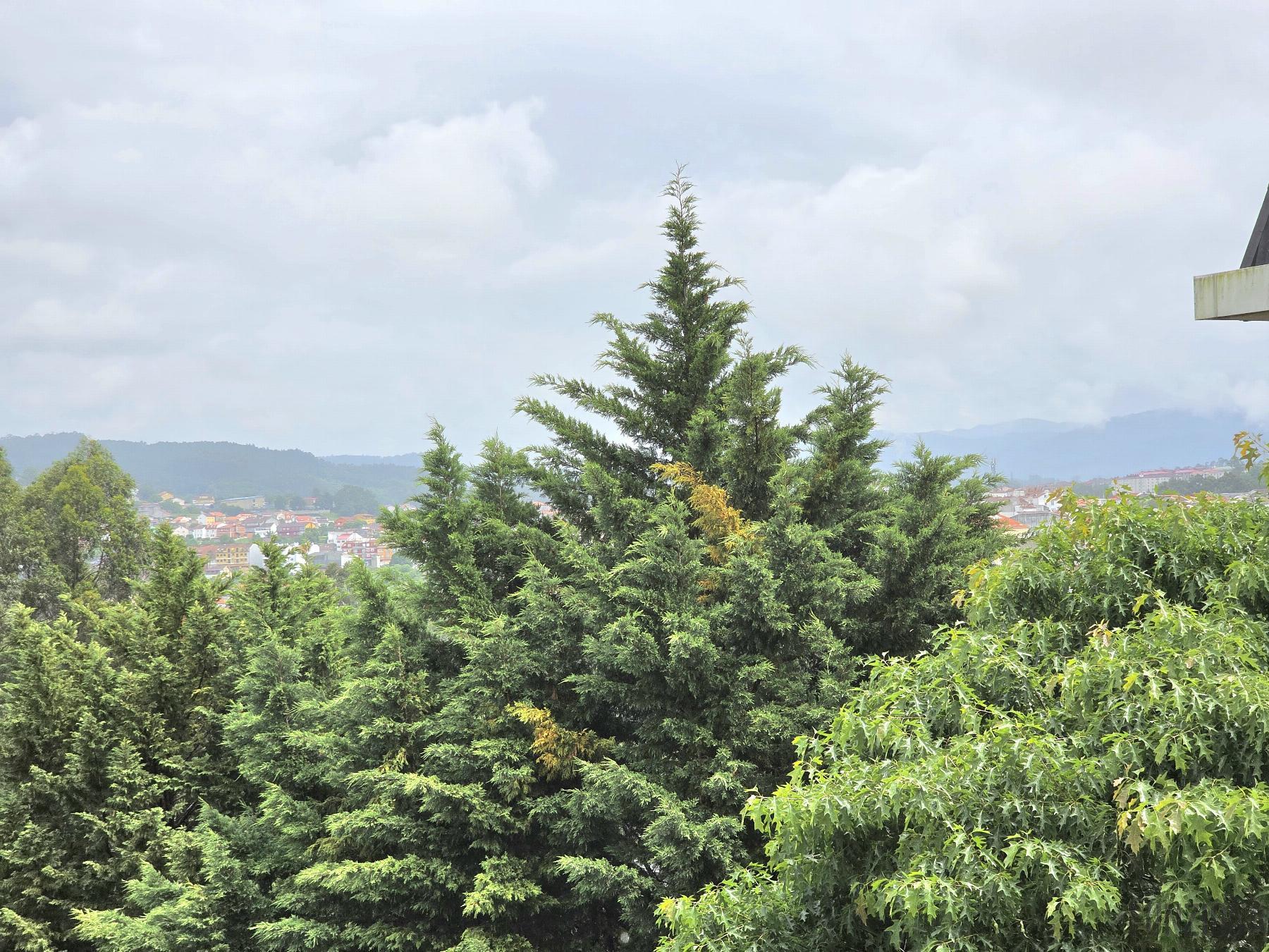 Venta de piso en Pontevedra