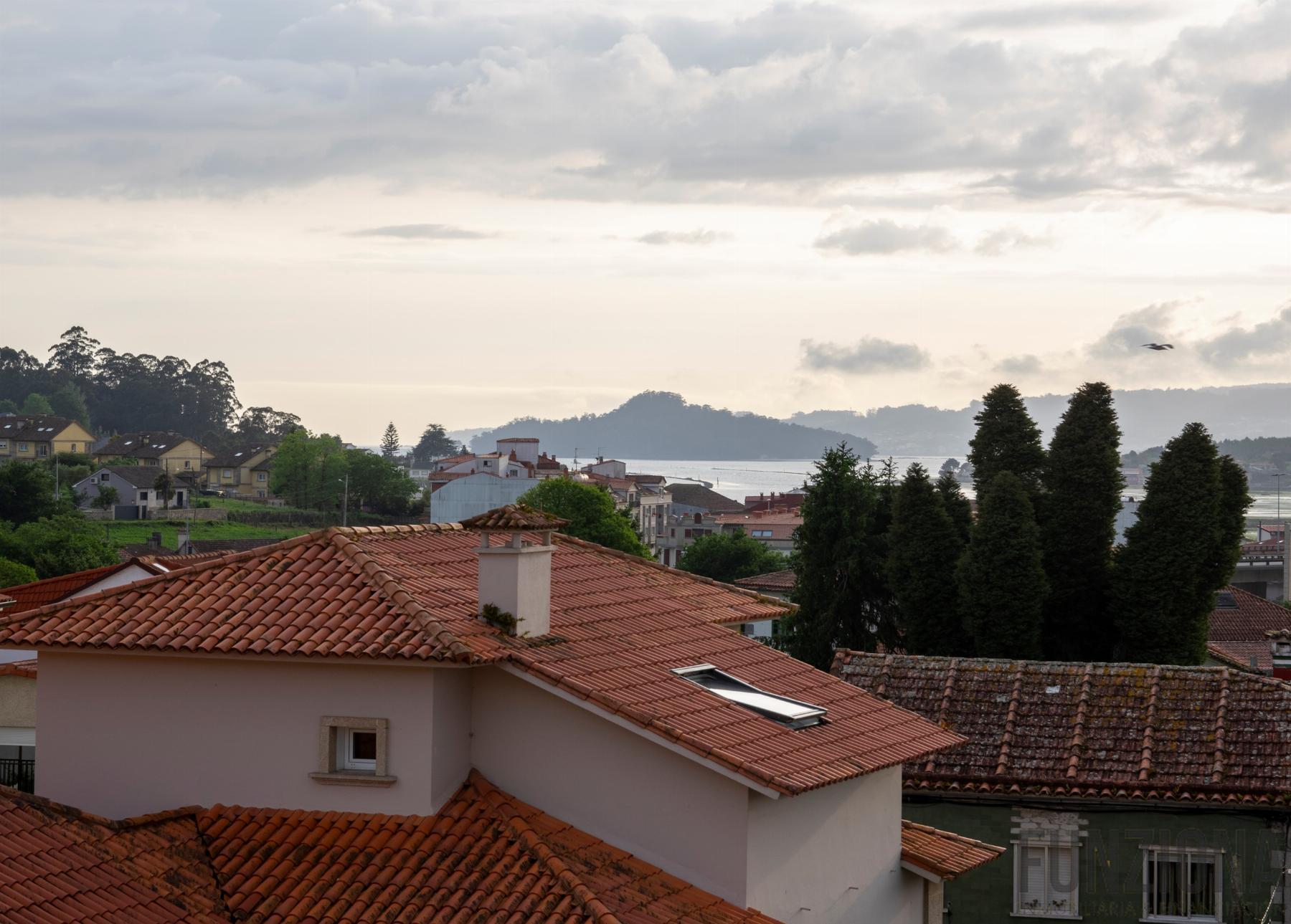 Vistas