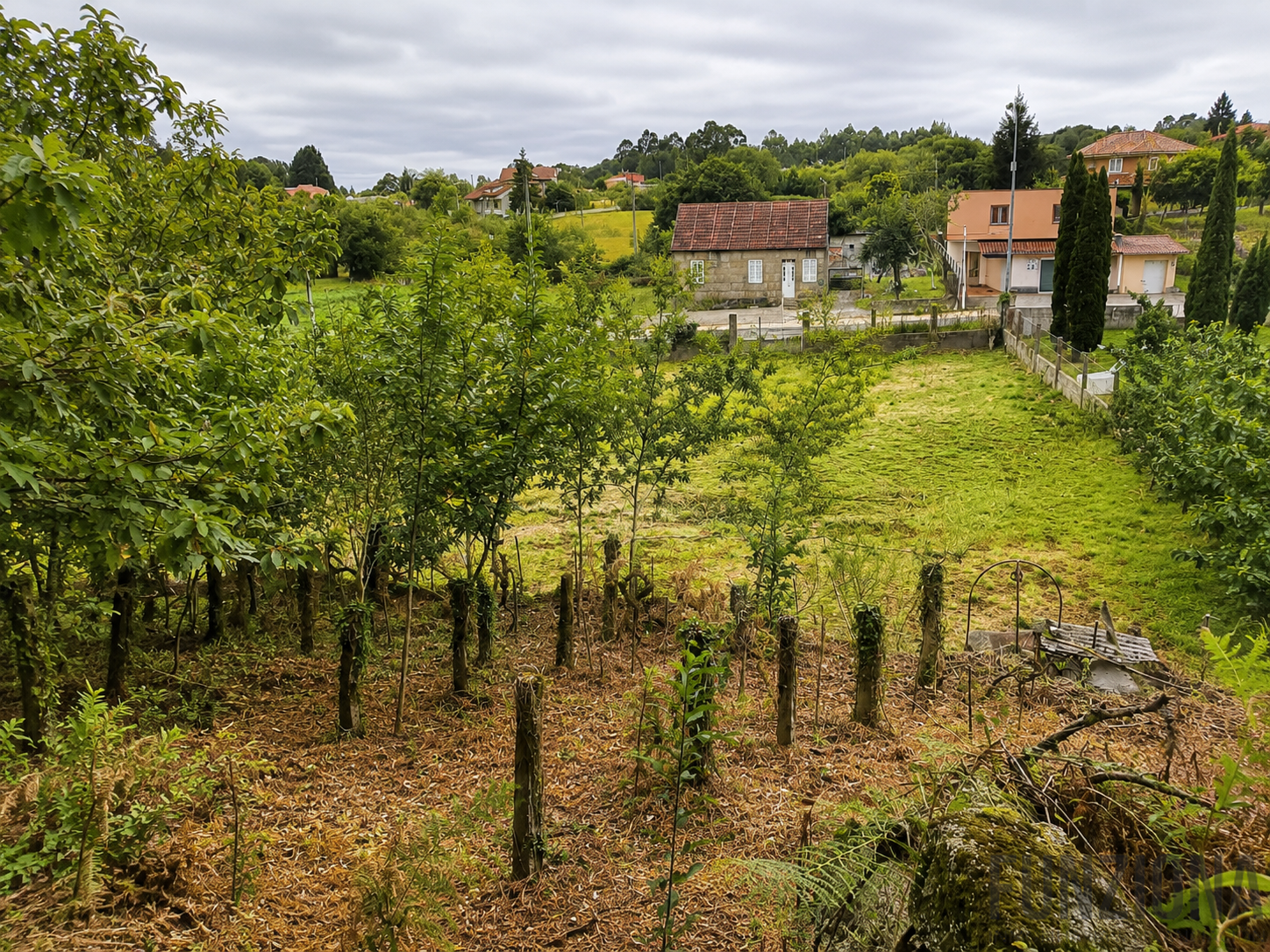 Venta de terreno en Cotobade