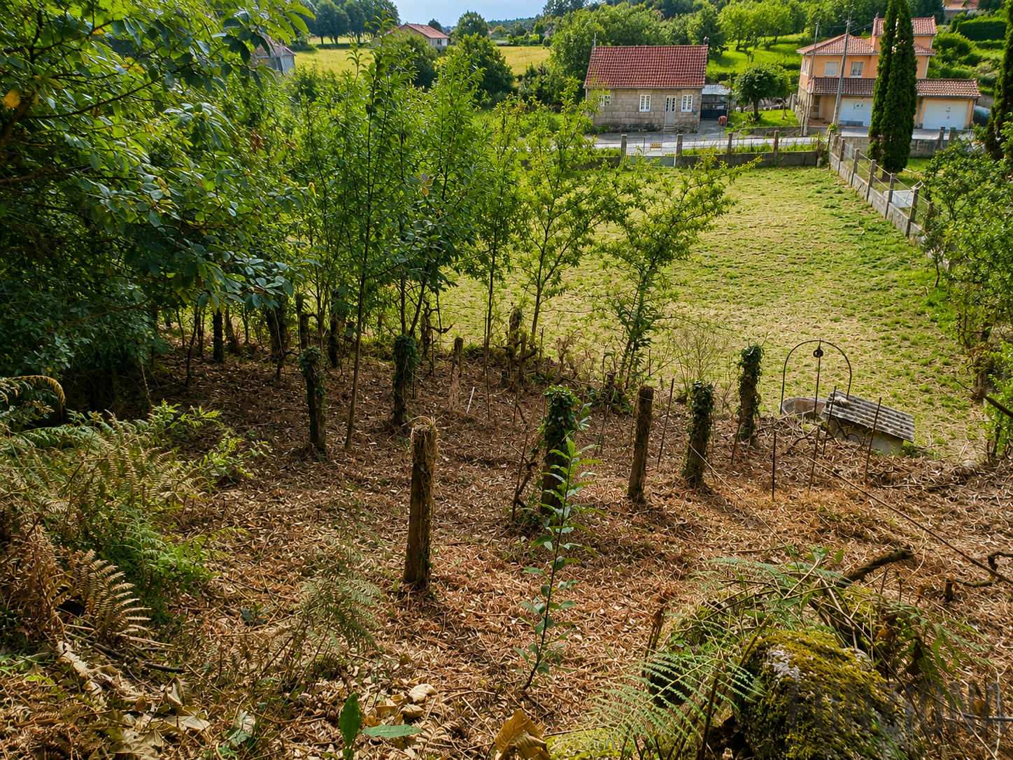 Venta de terreno en Cotobade