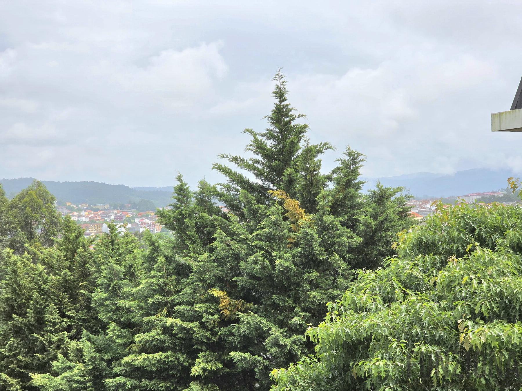 Vistas