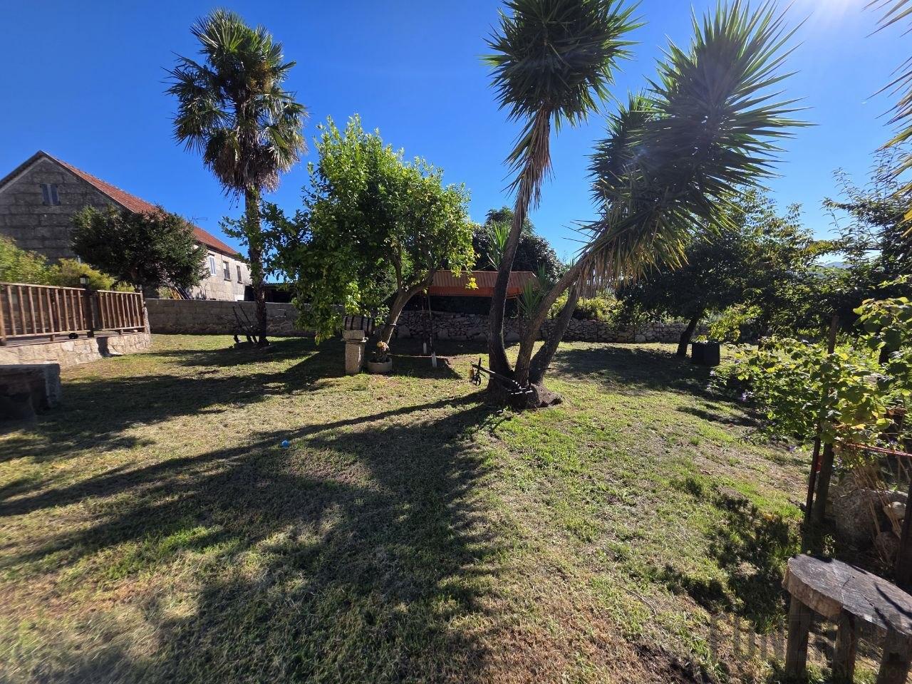Jardín