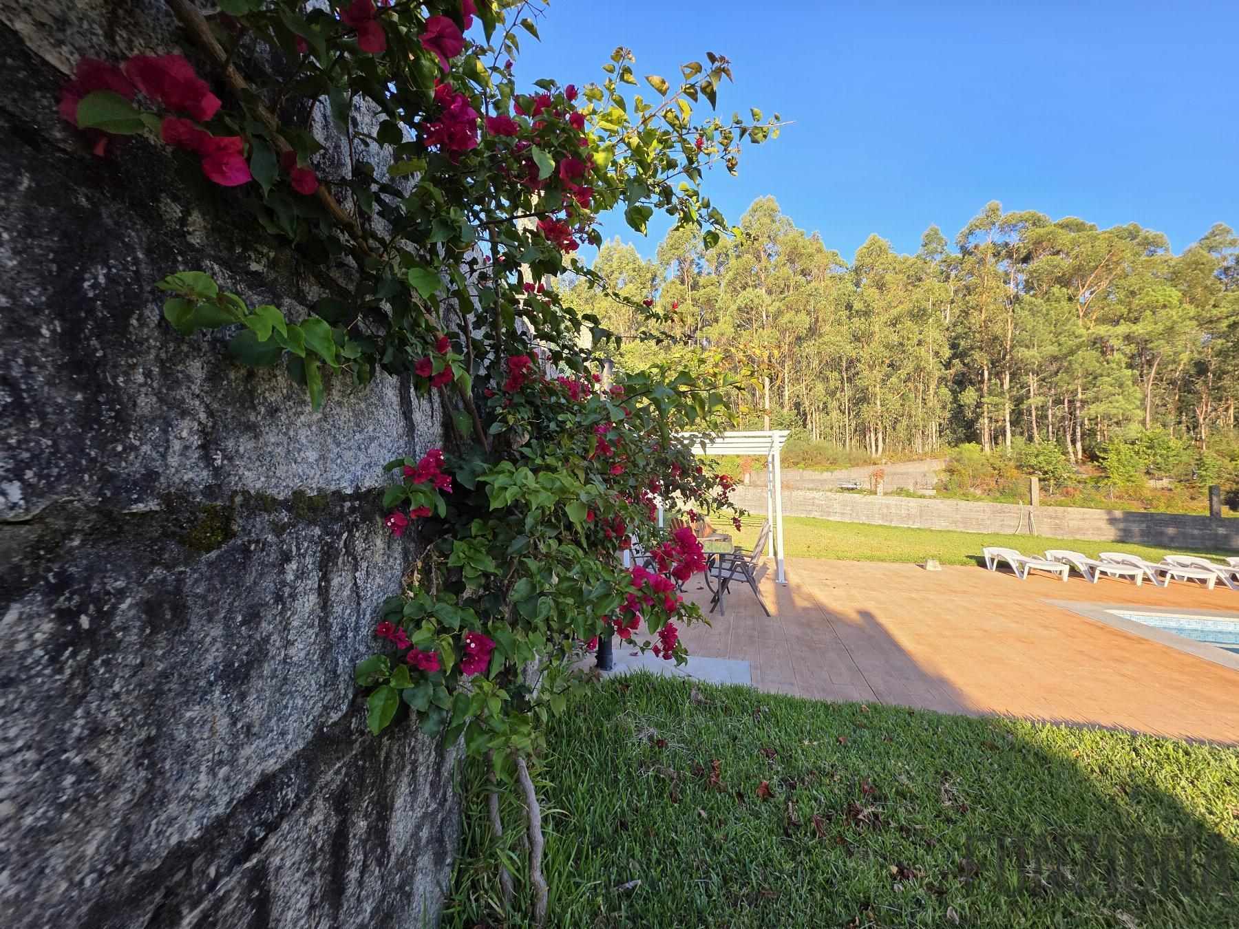Jardín