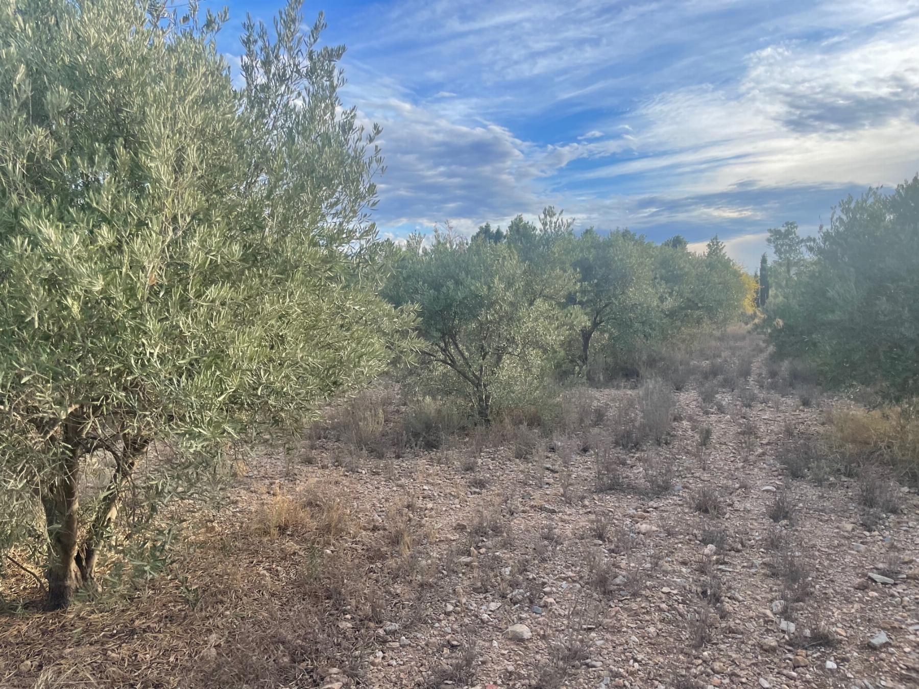 Venta de terreno en Lorca