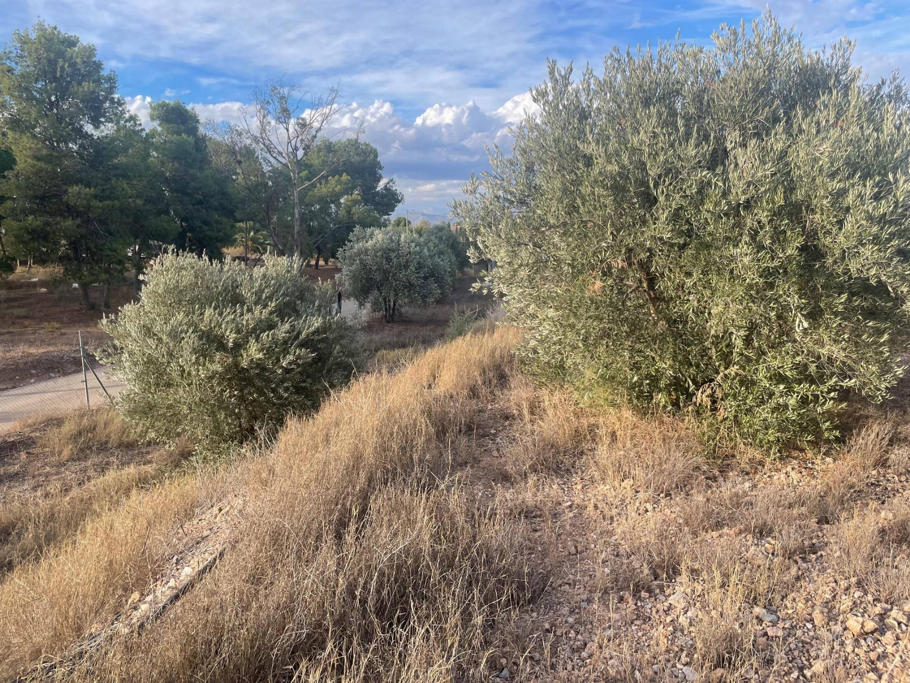 Venta de terreno en Lorca