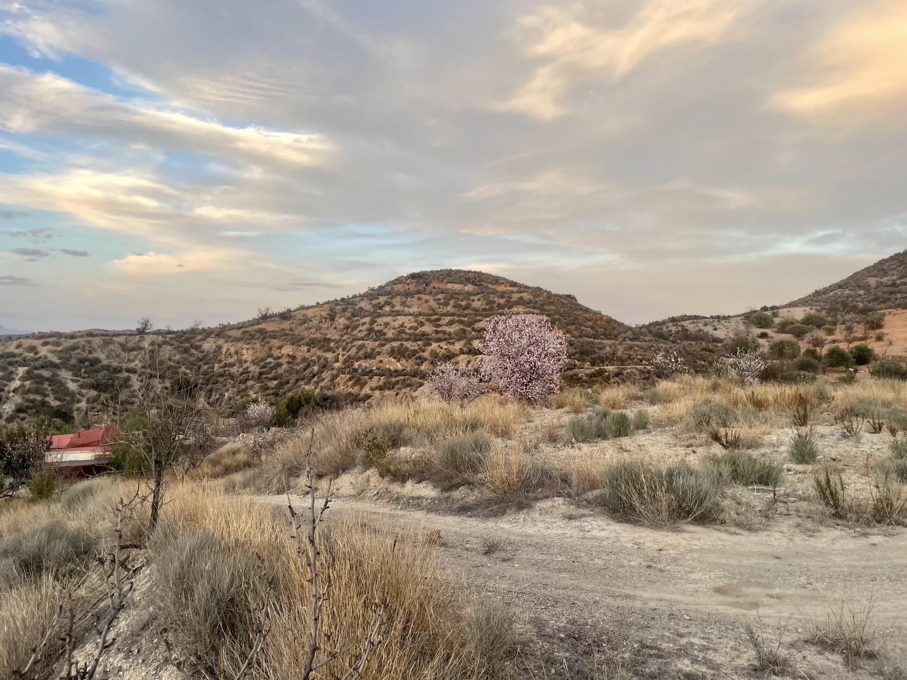 Venta de terreno en Lorca