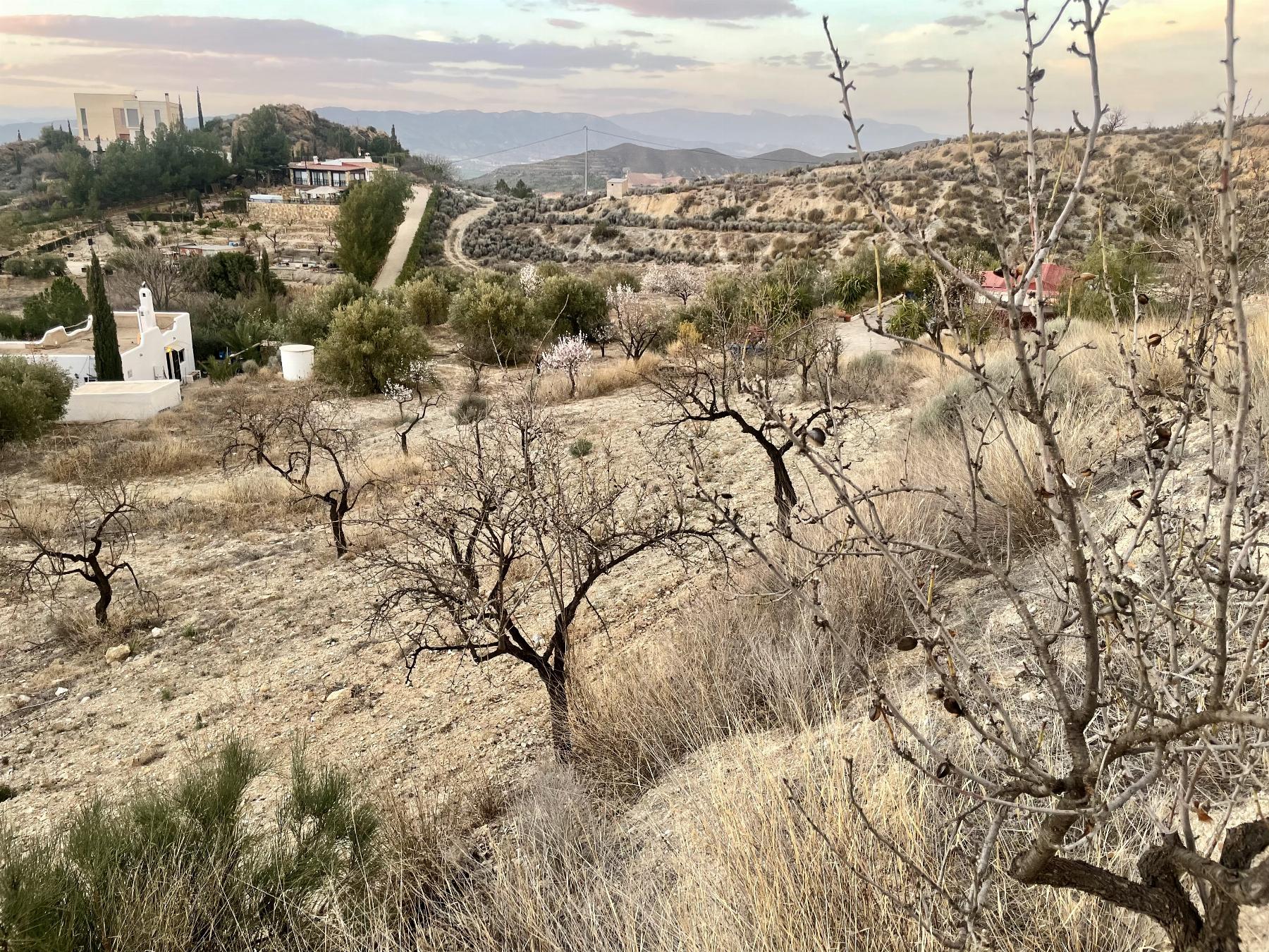 Venta de terreno en Lorca