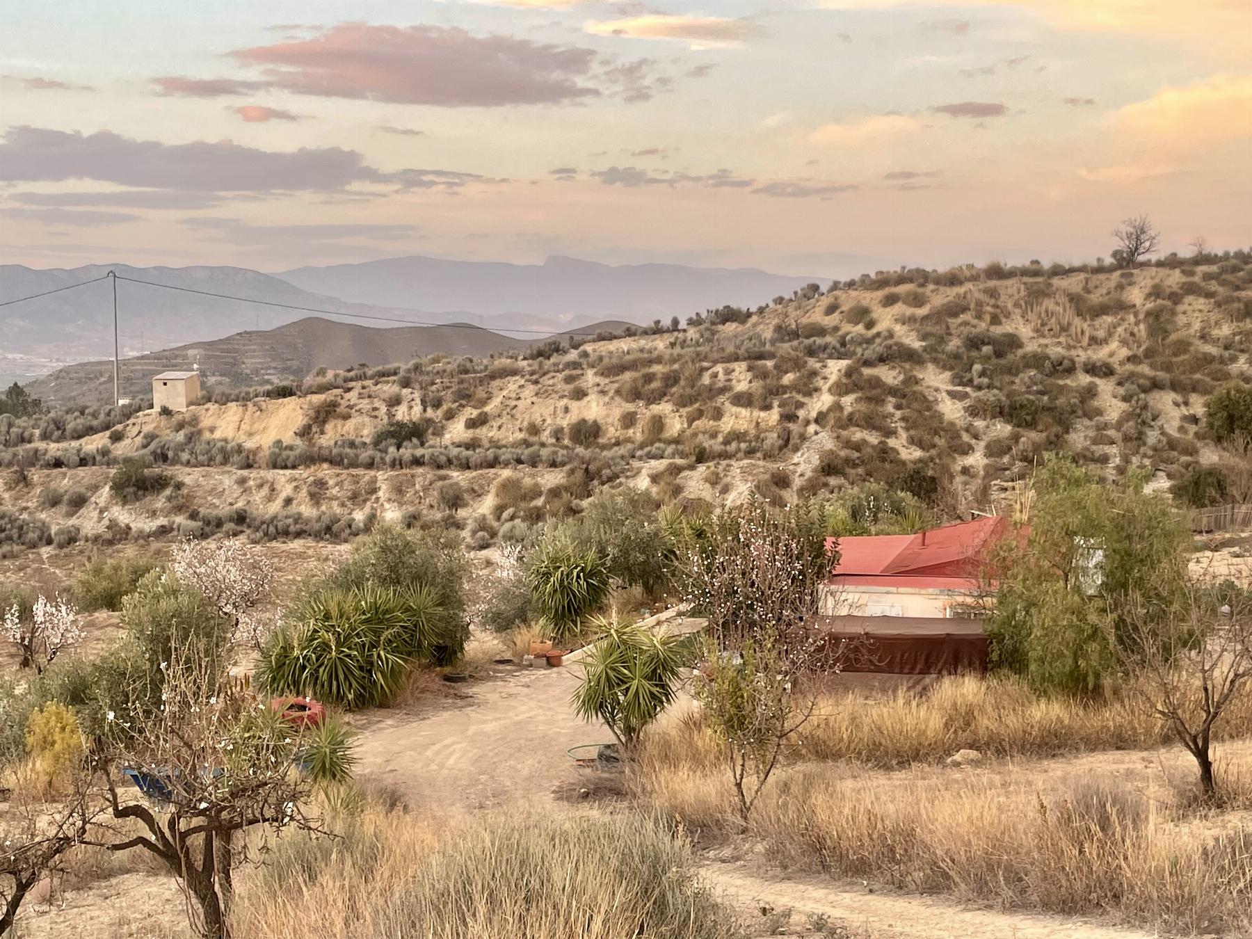 Vente de terrain dans Lorca