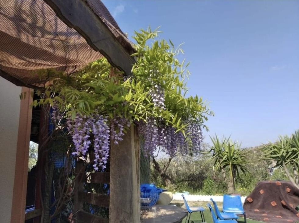 Vente de terrain dans Lorca