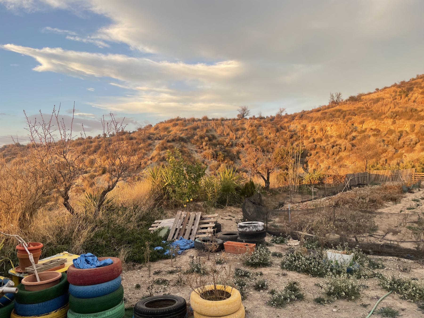 Venta de terreno en Lorca