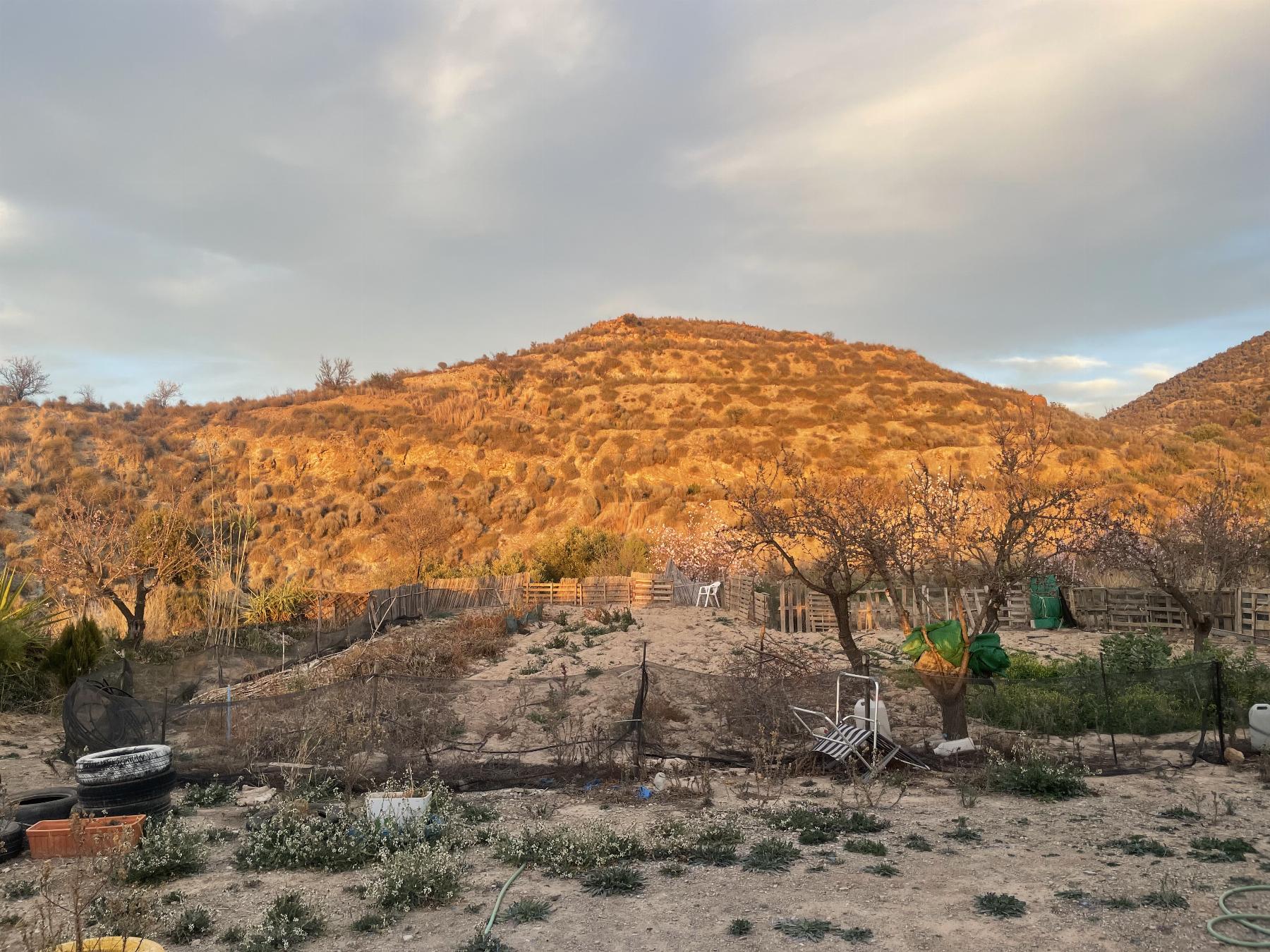 Venta de terreno en Lorca