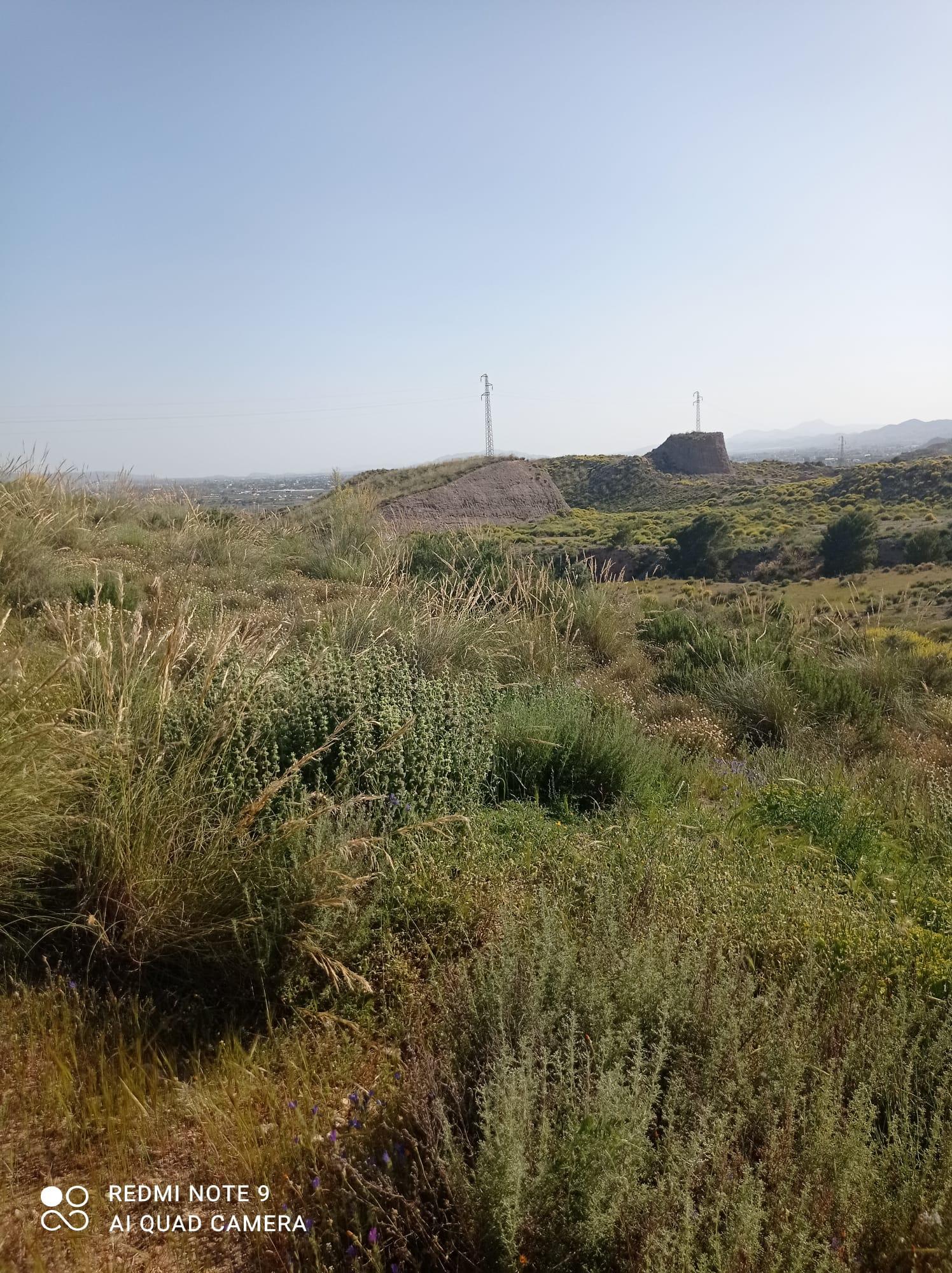 For sale of land in Lorca