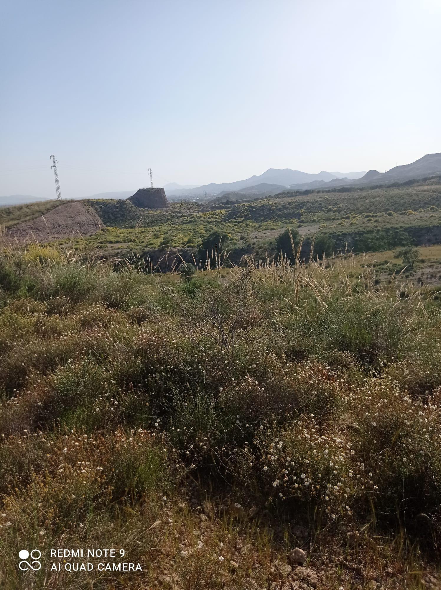 For sale of land in Lorca