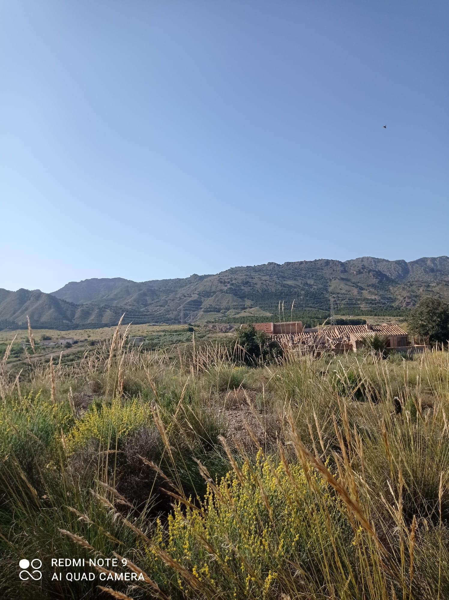 For sale of land in Lorca