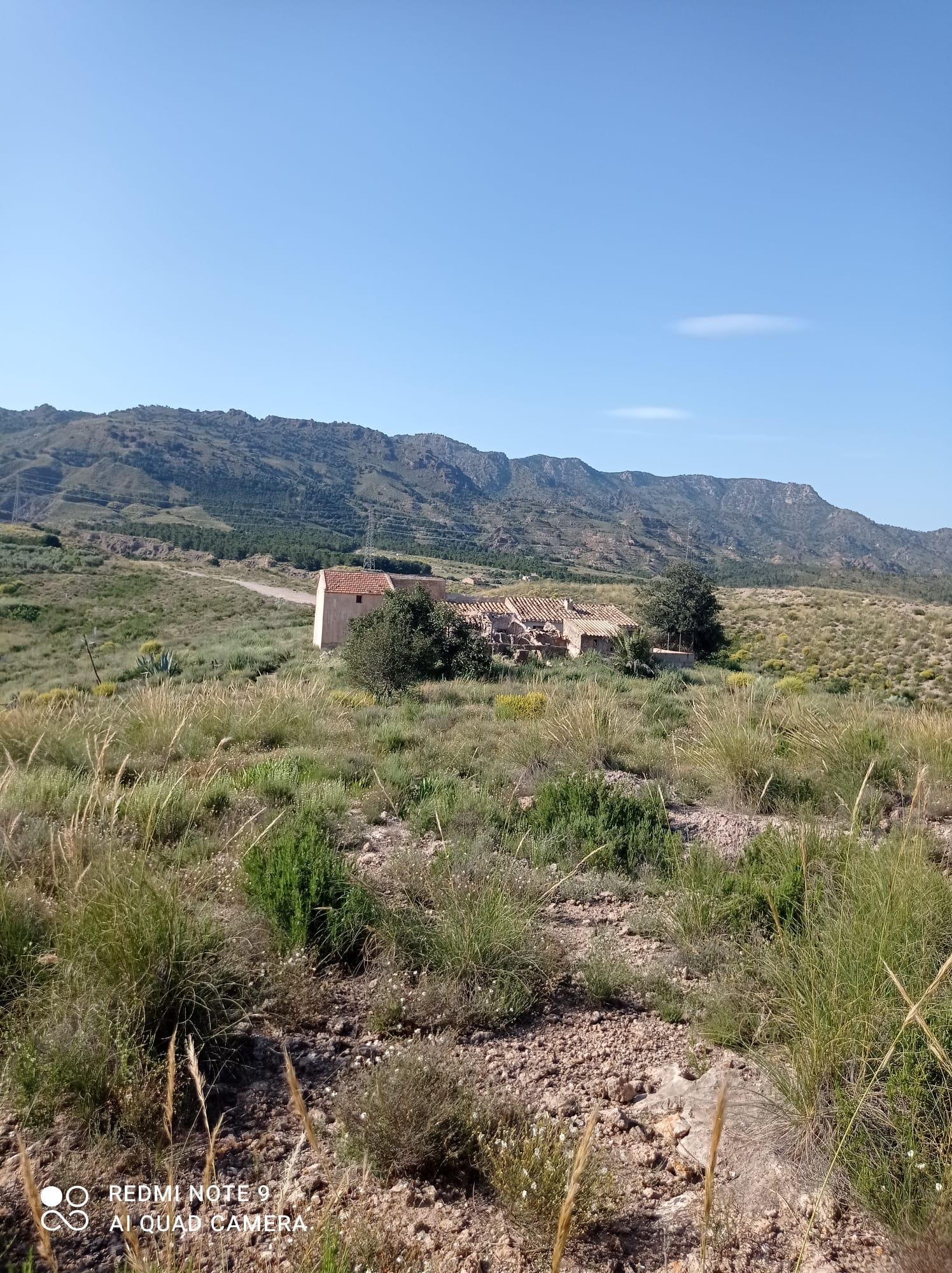 For sale of land in Lorca