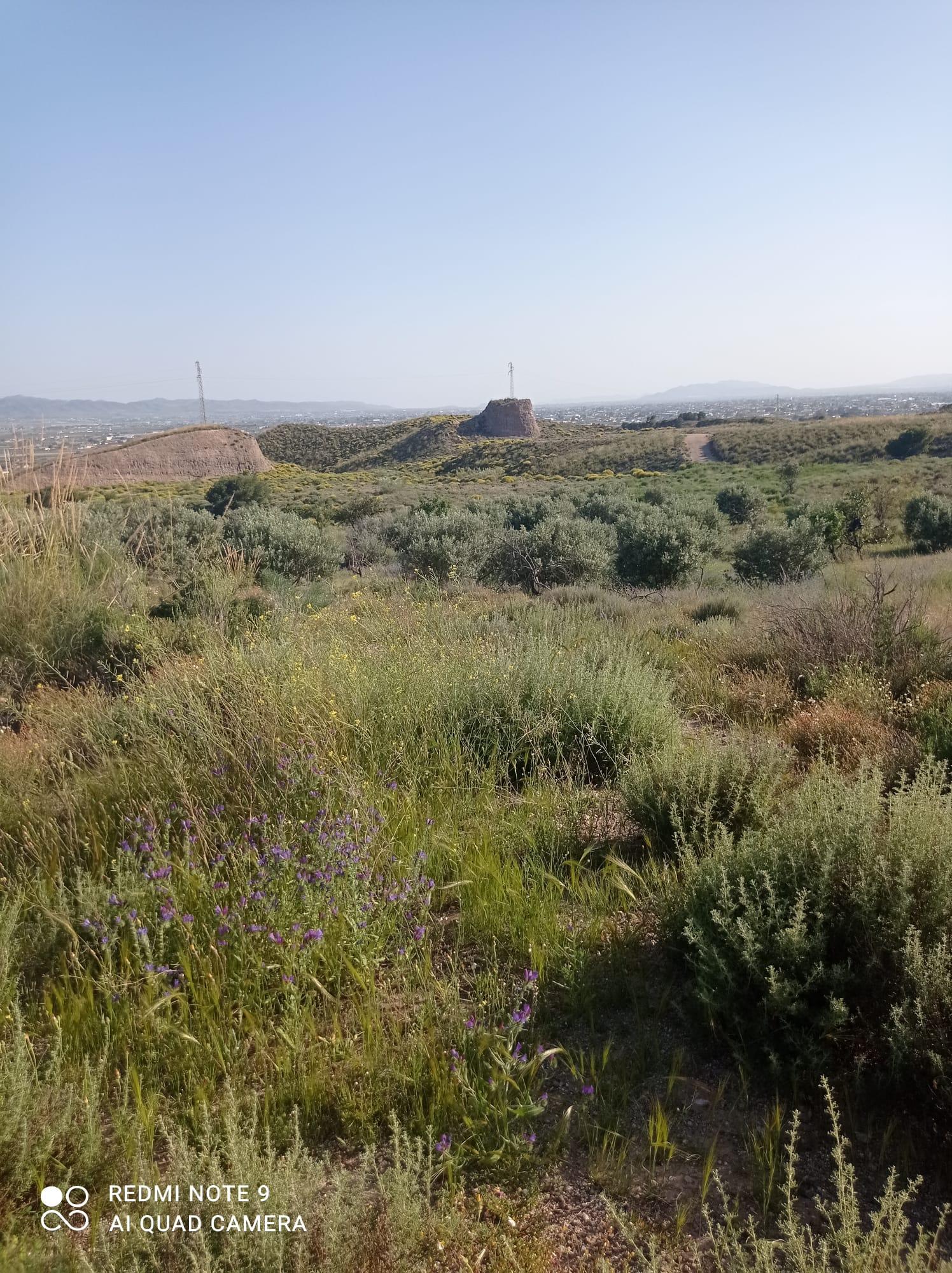 For sale of land in Lorca