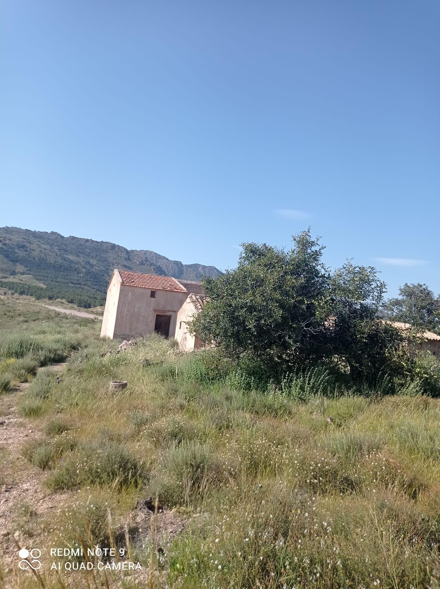 For sale of land in Lorca