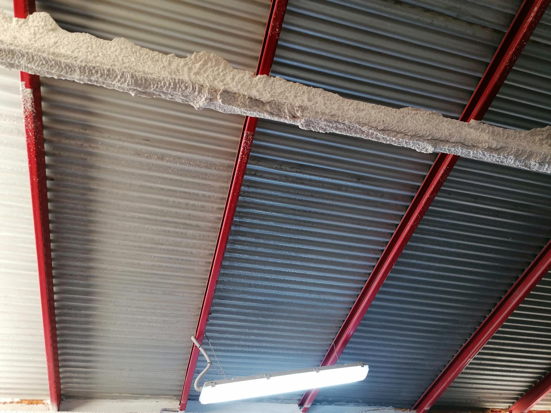 Zu verkaufen von gewerbehalle in
 Lorca