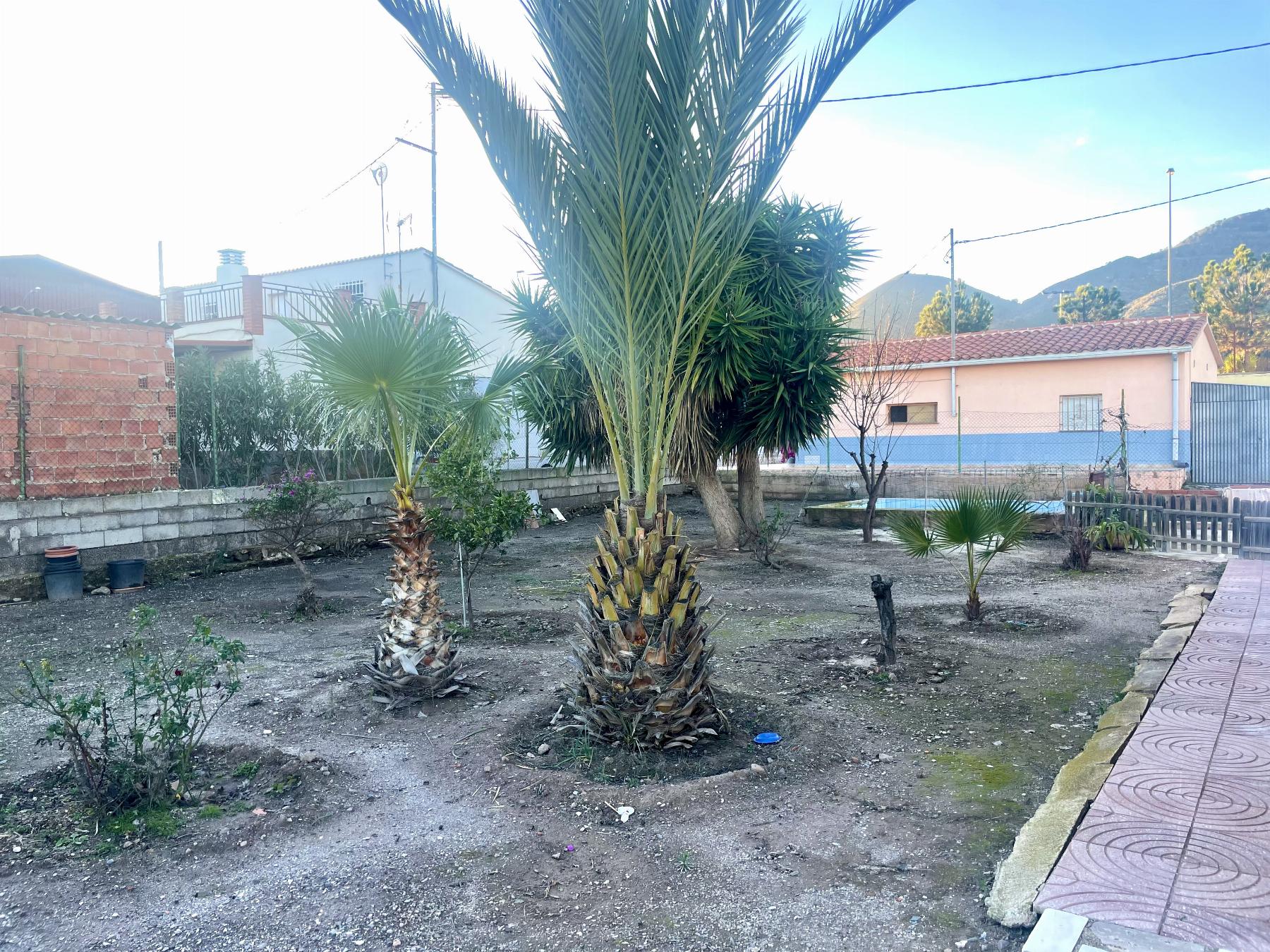 For sale of house in Lorca