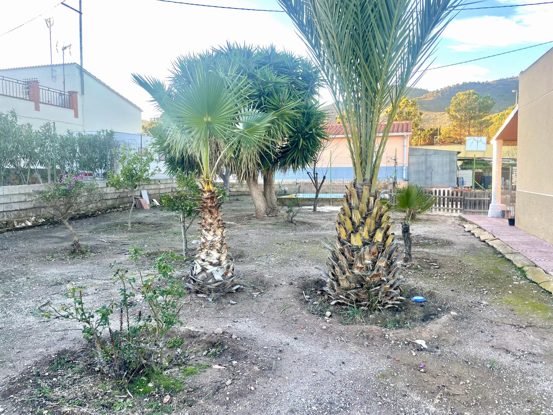 For sale of house in Lorca