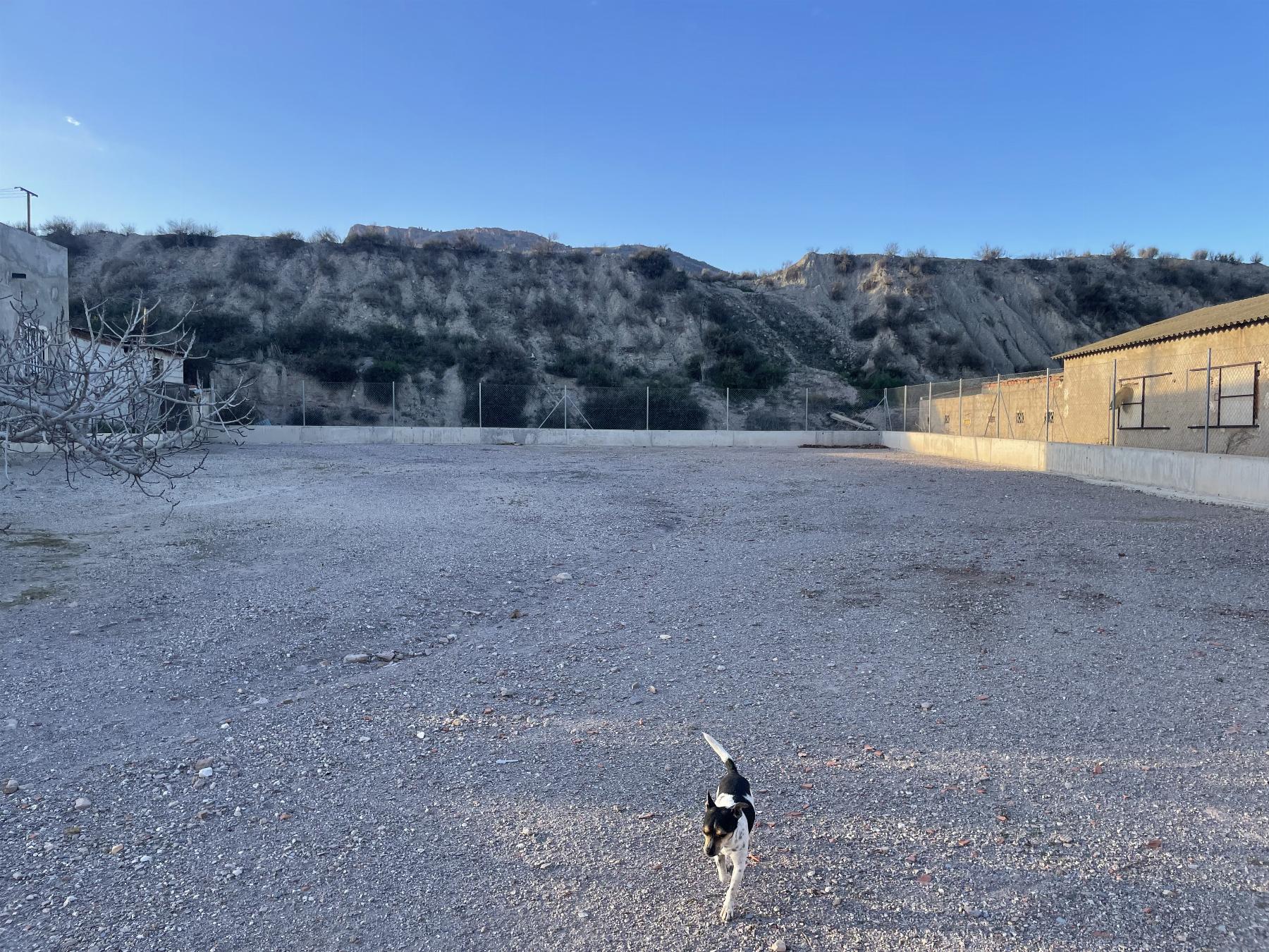 For sale of house in Lorca