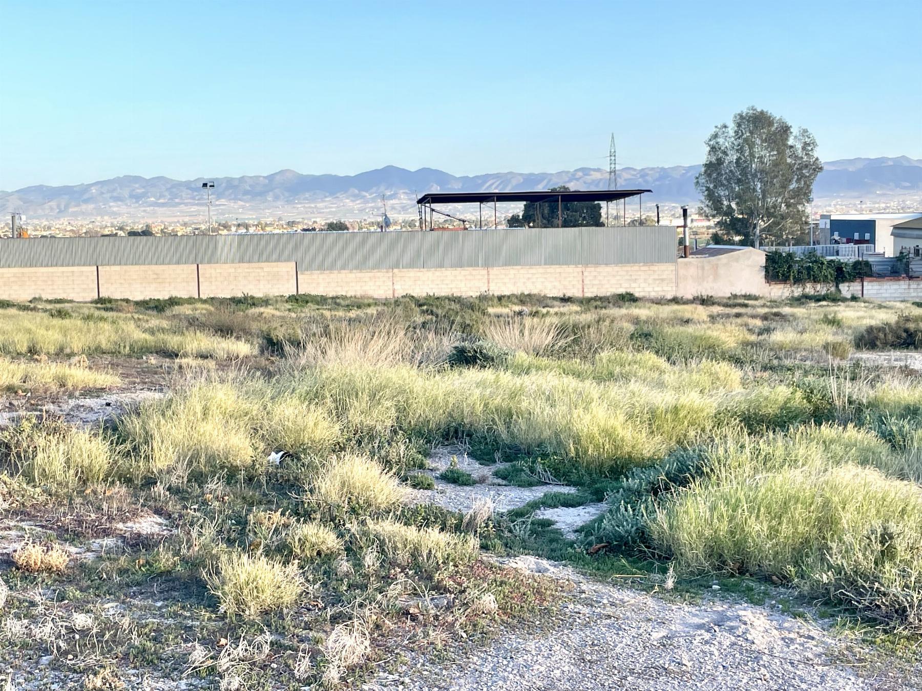 For sale of house in Lorca