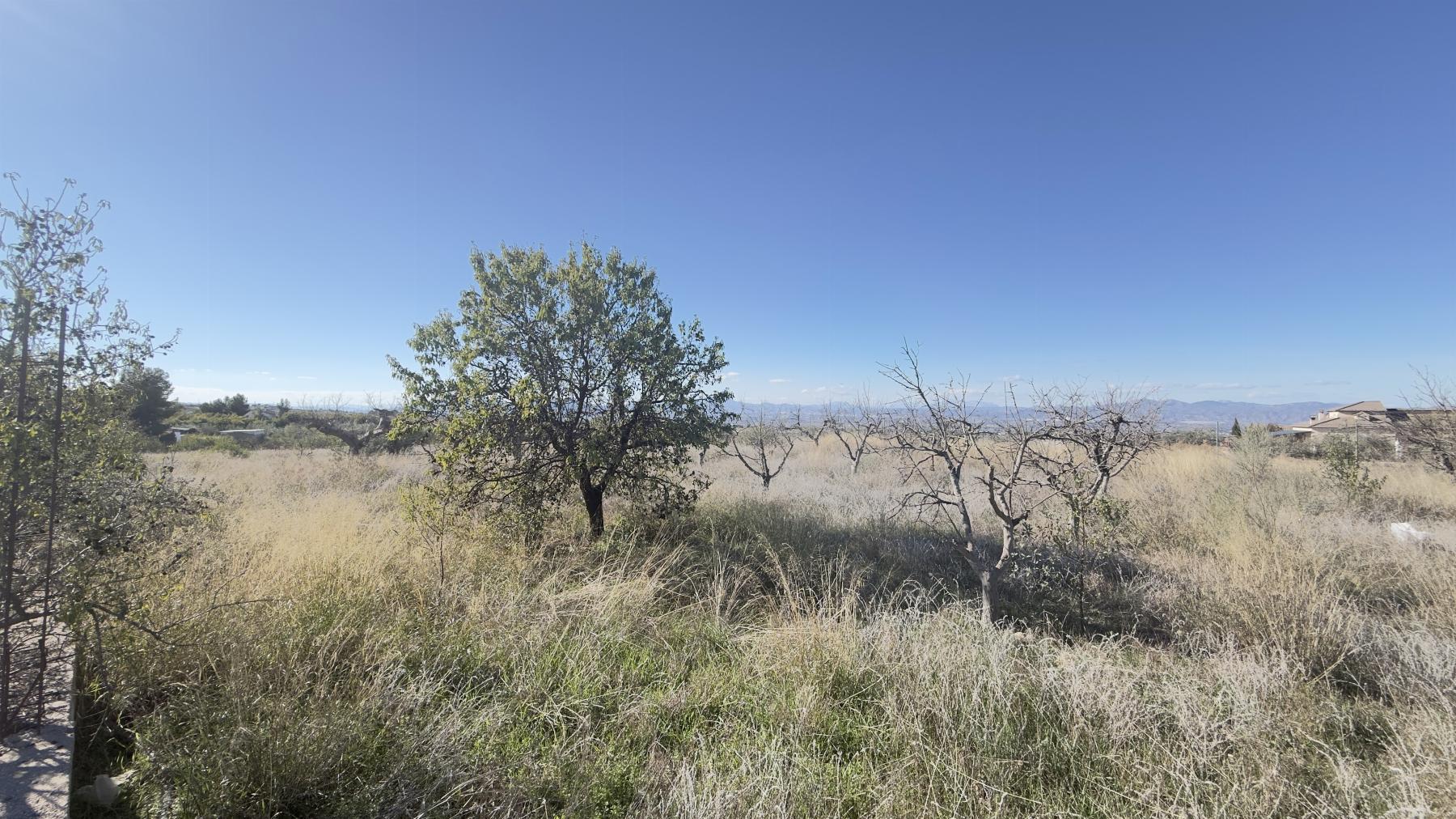 Vente de terrain dans Lorca