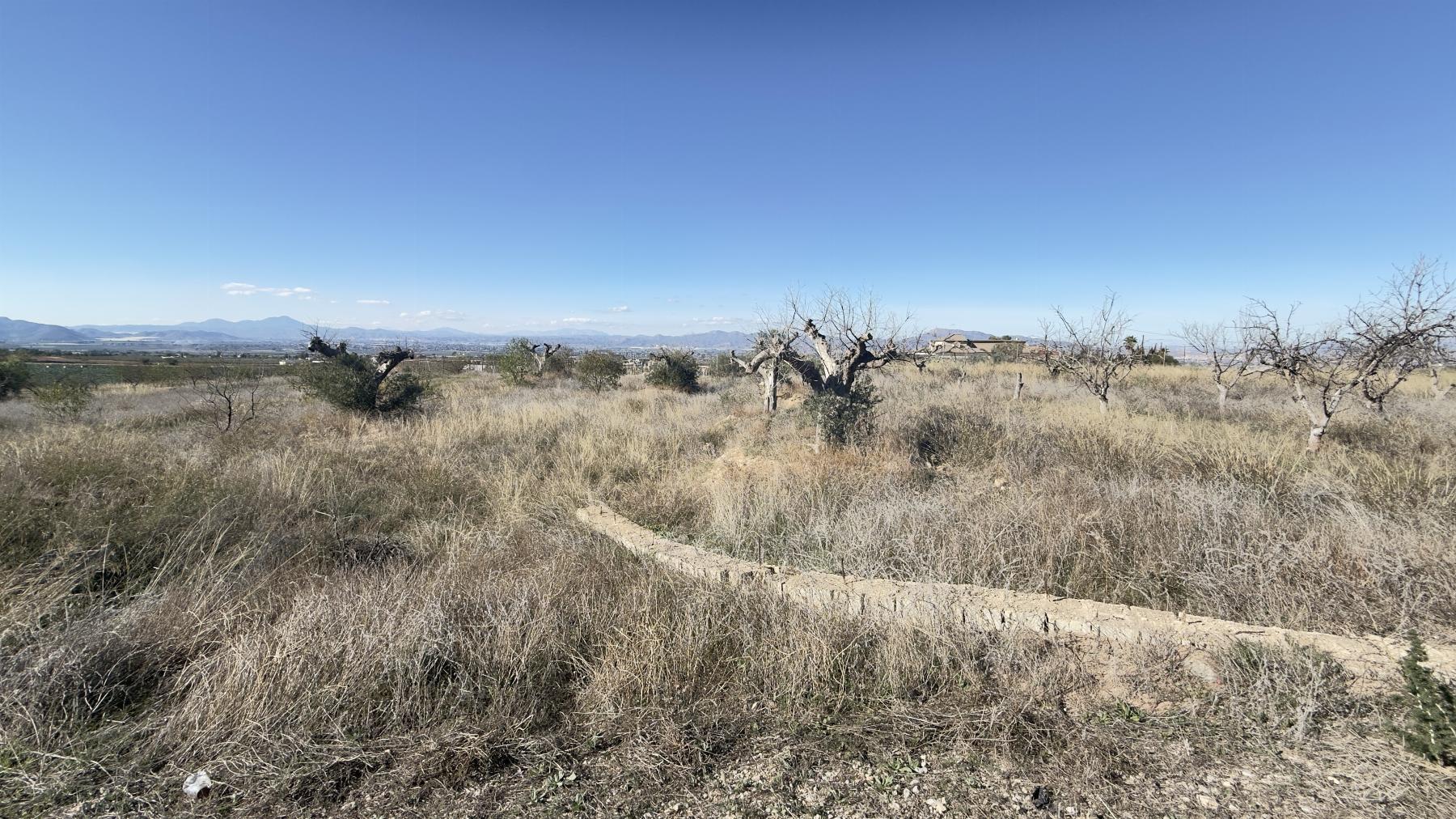 For sale of land in Lorca