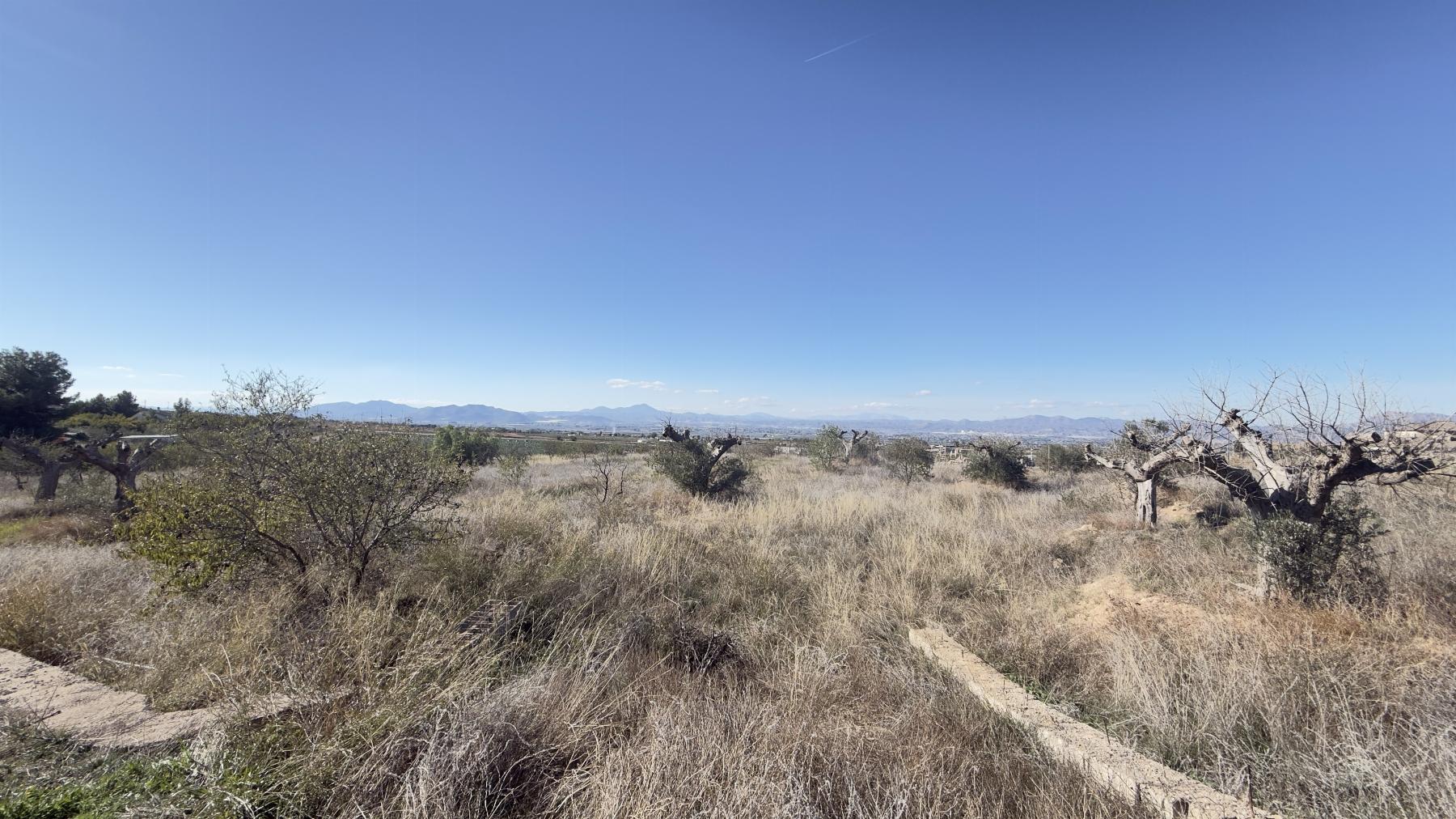 For sale of land in Lorca