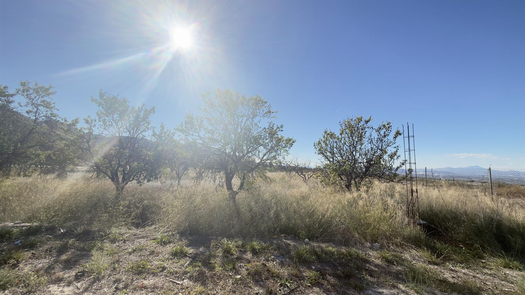 For sale of land in Lorca