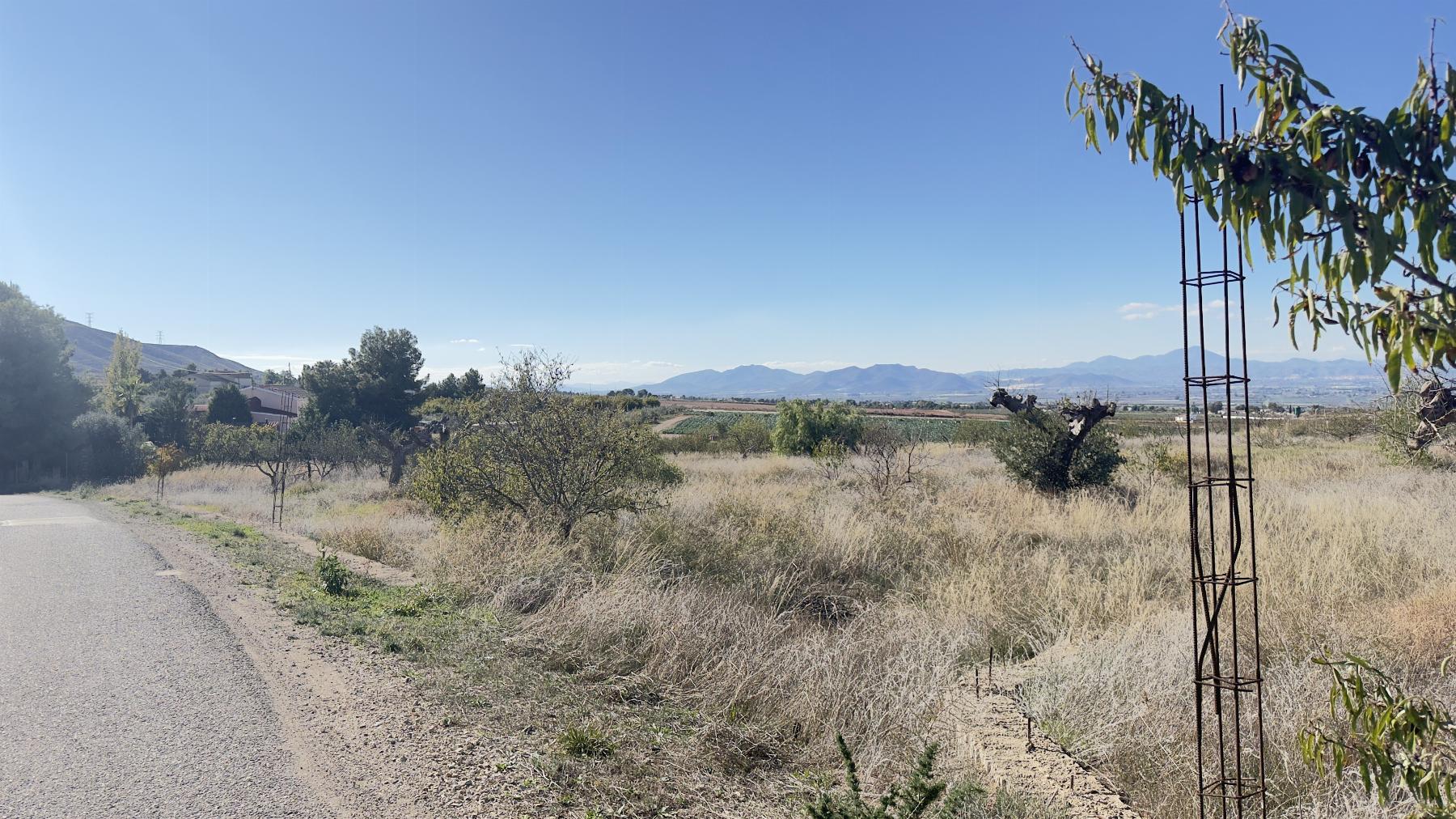 For sale of land in Lorca