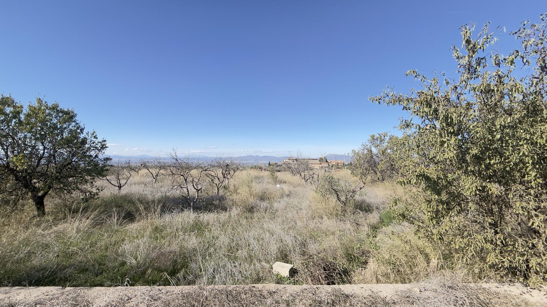 For sale of land in Lorca