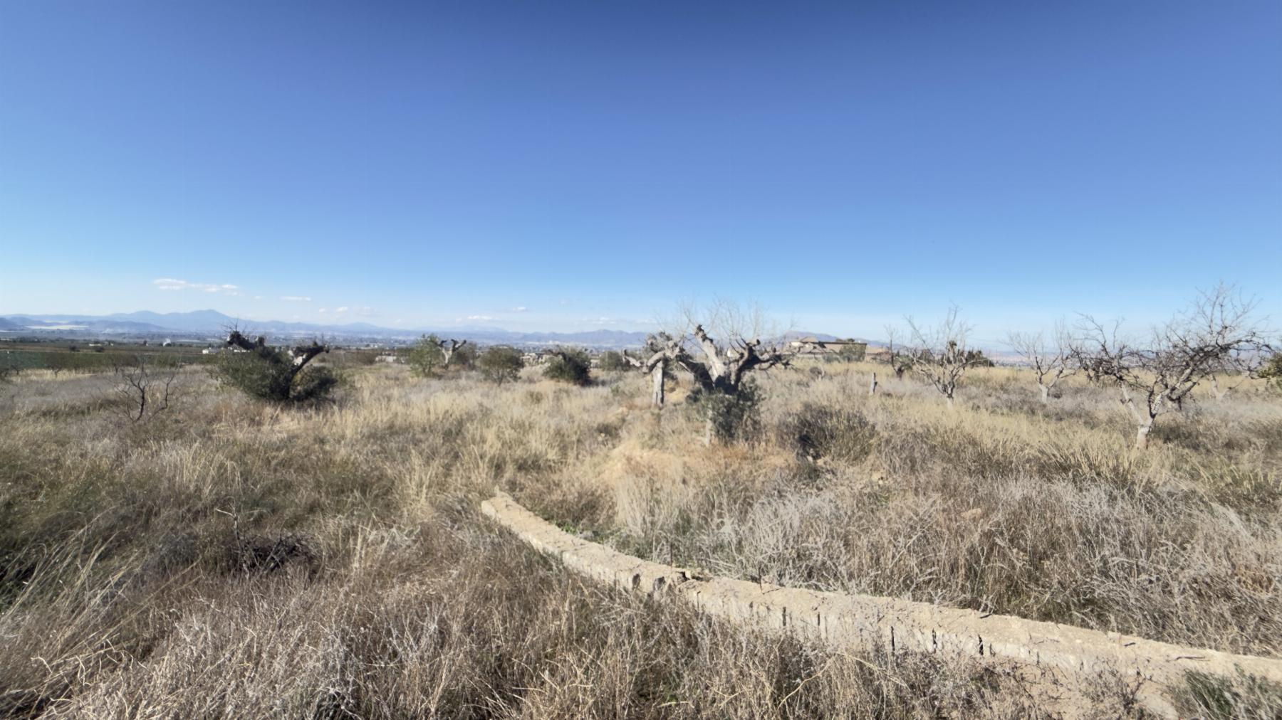 For sale of land in Lorca