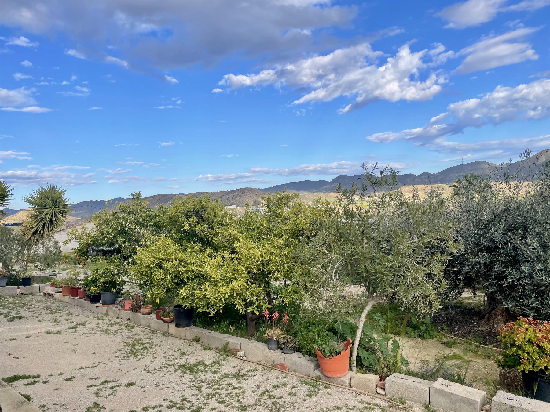 Zu verkaufen von haus in
 Lorca
