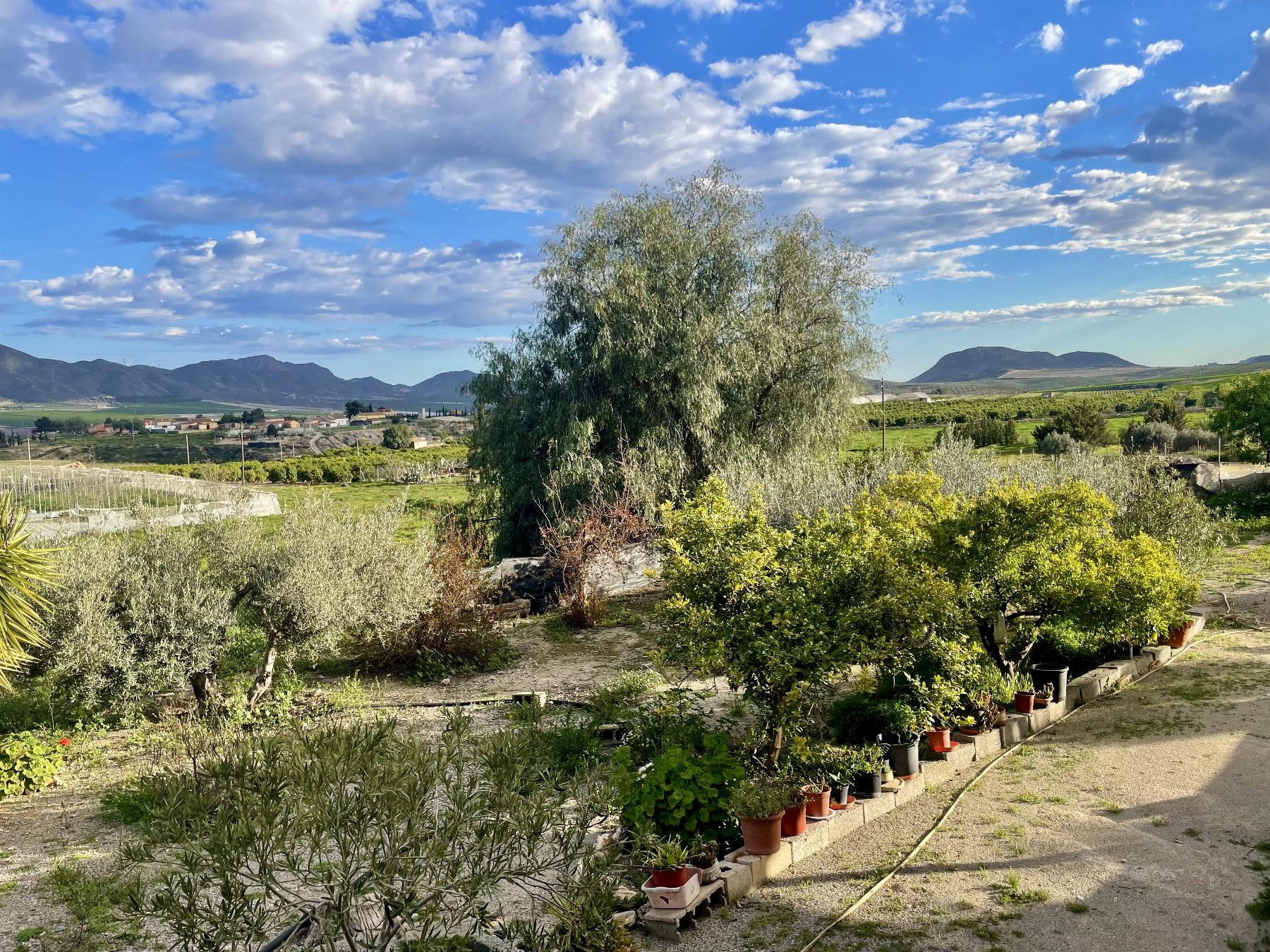 Zu verkaufen von haus in
 Lorca