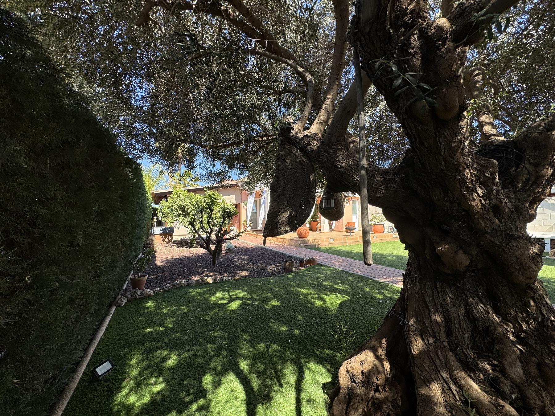 For sale of house in Lorca