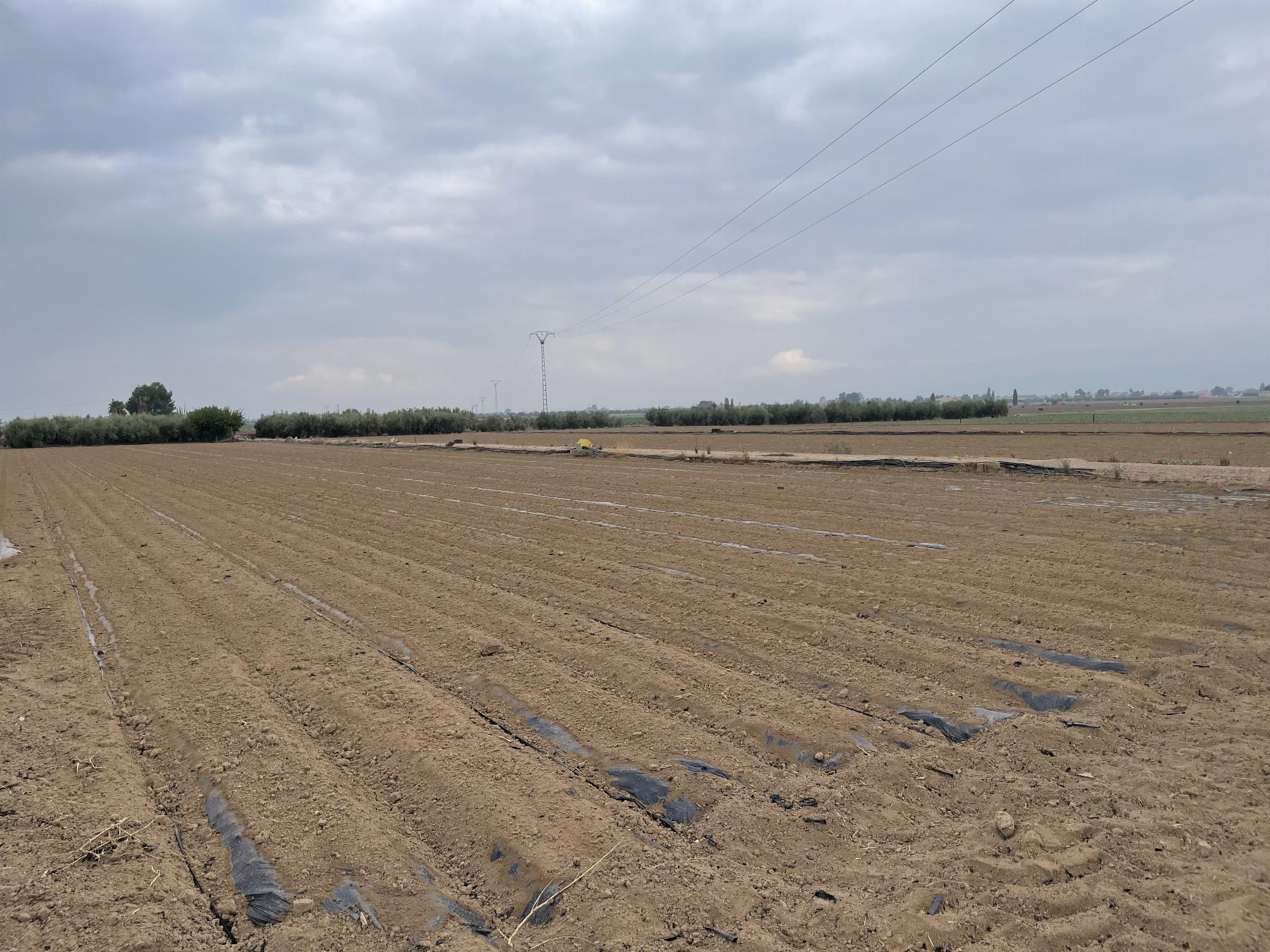 Venta de terreno en Lorca