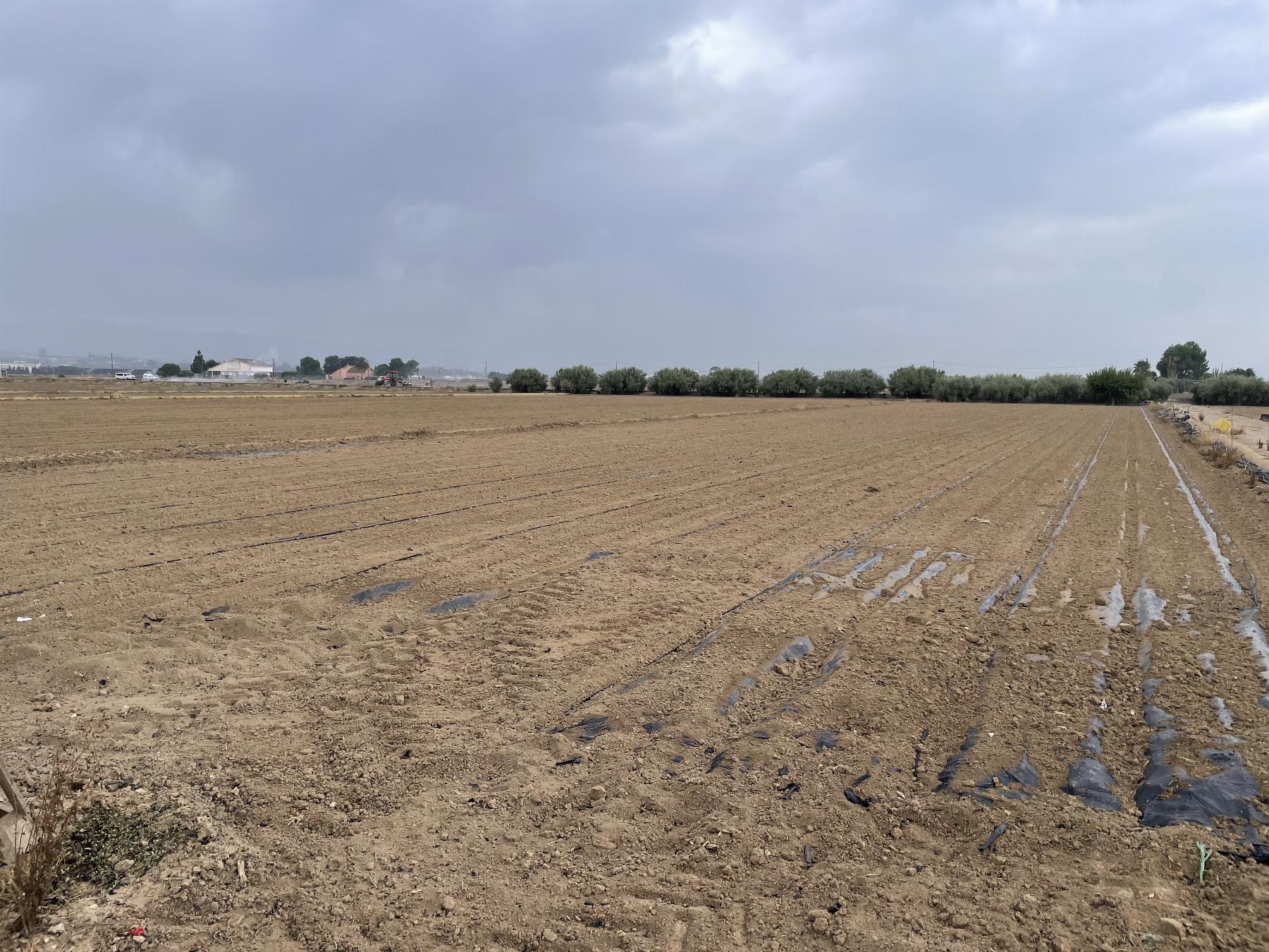 Venta de terreno en Lorca