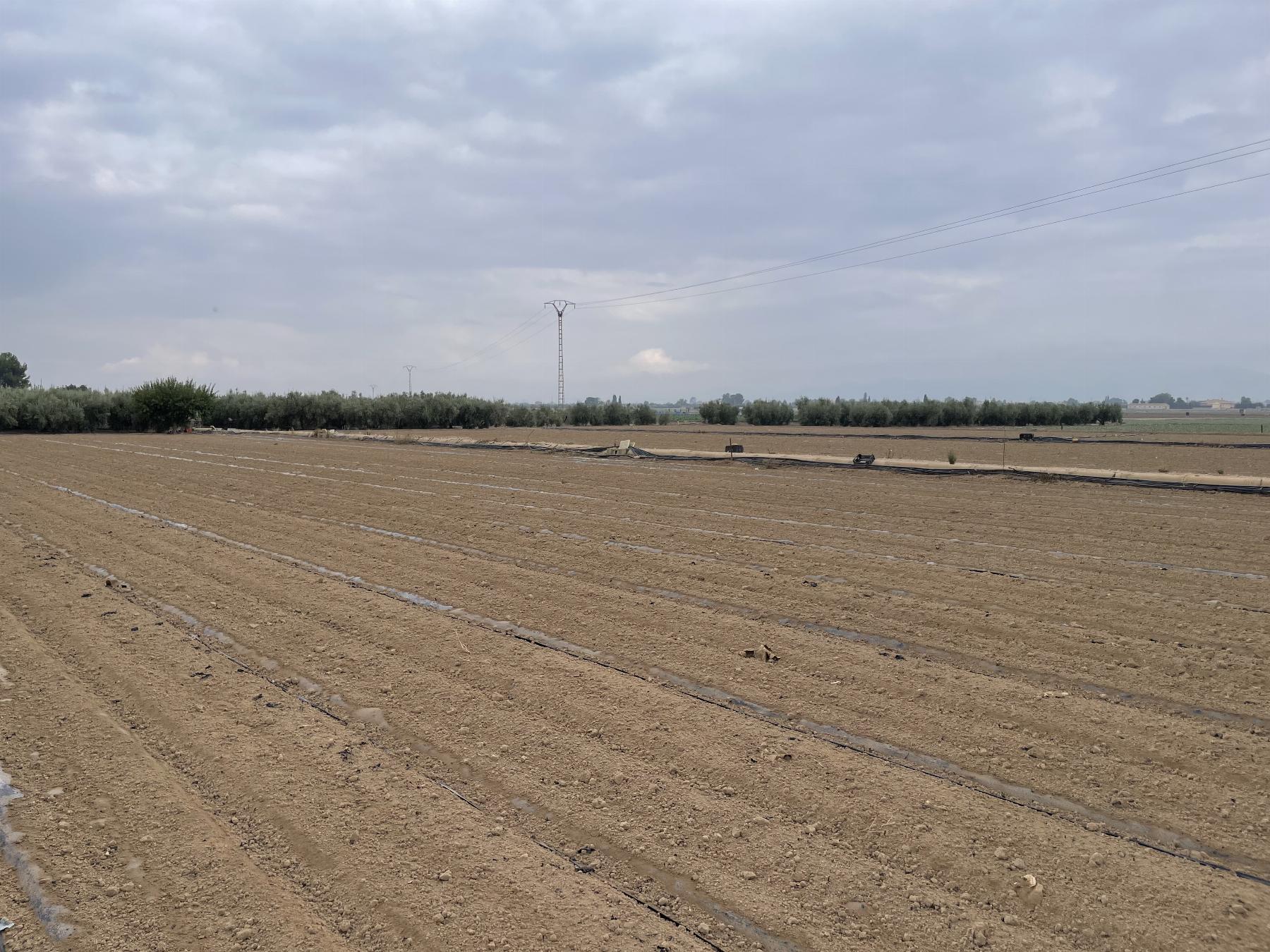 Venta de terreno en Lorca
