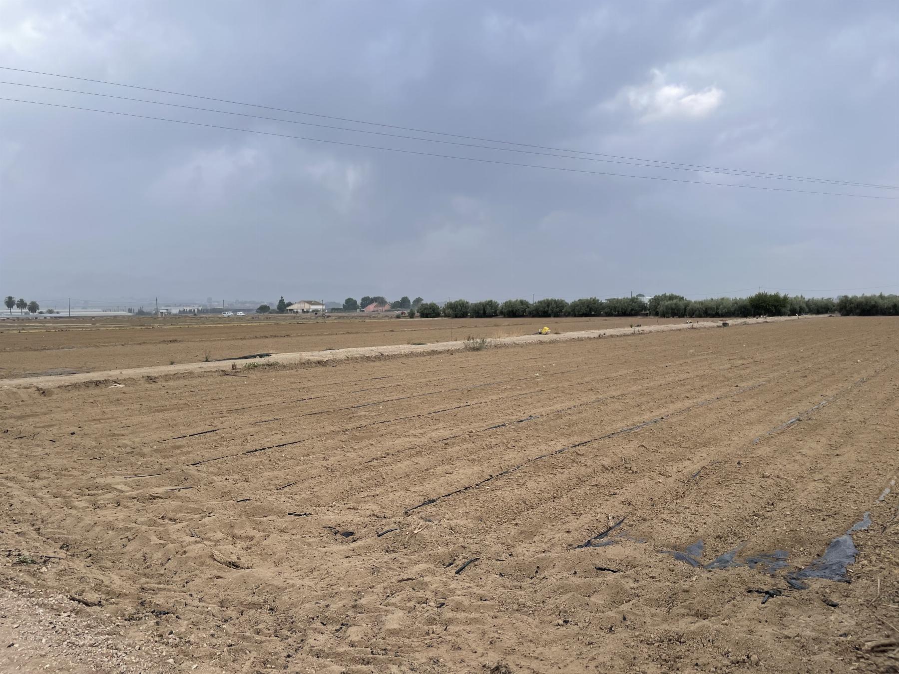 Venta de terreno en Lorca