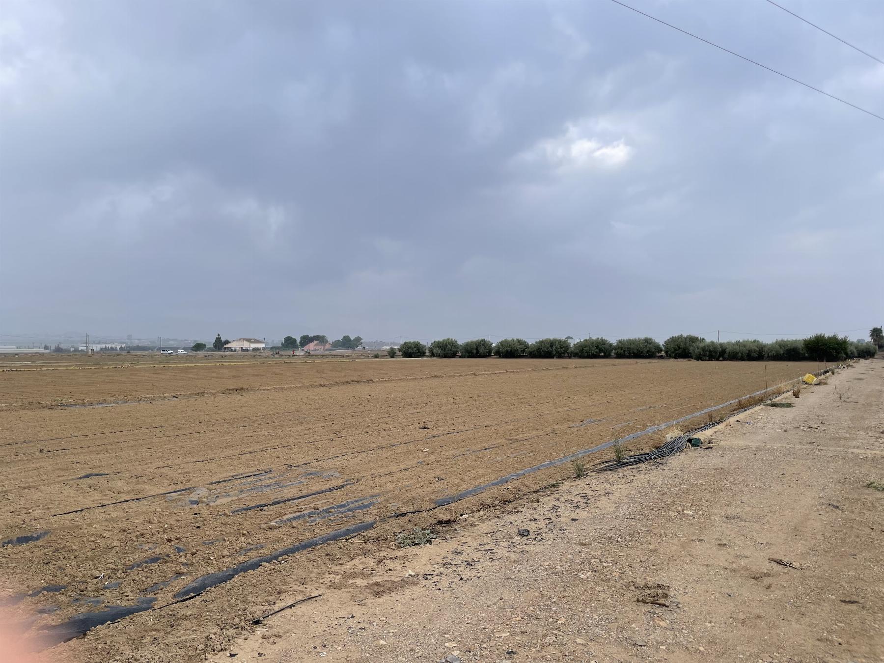 Venta de terreno en Lorca