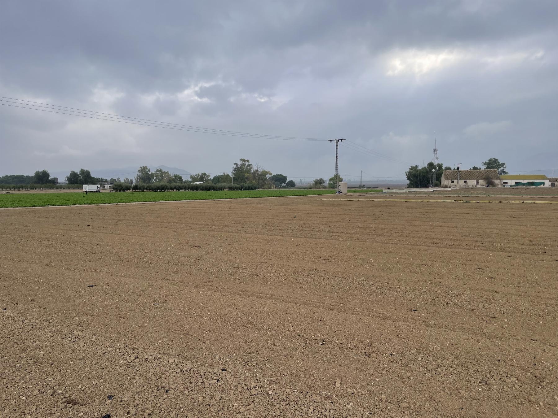 Venta de terreno en Lorca