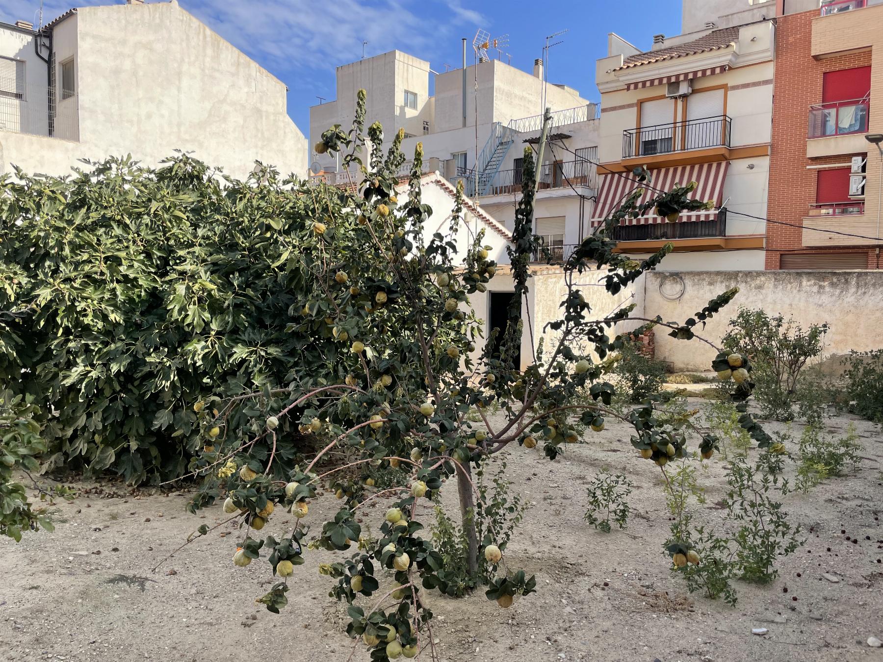 Venta de terreno en Lorca