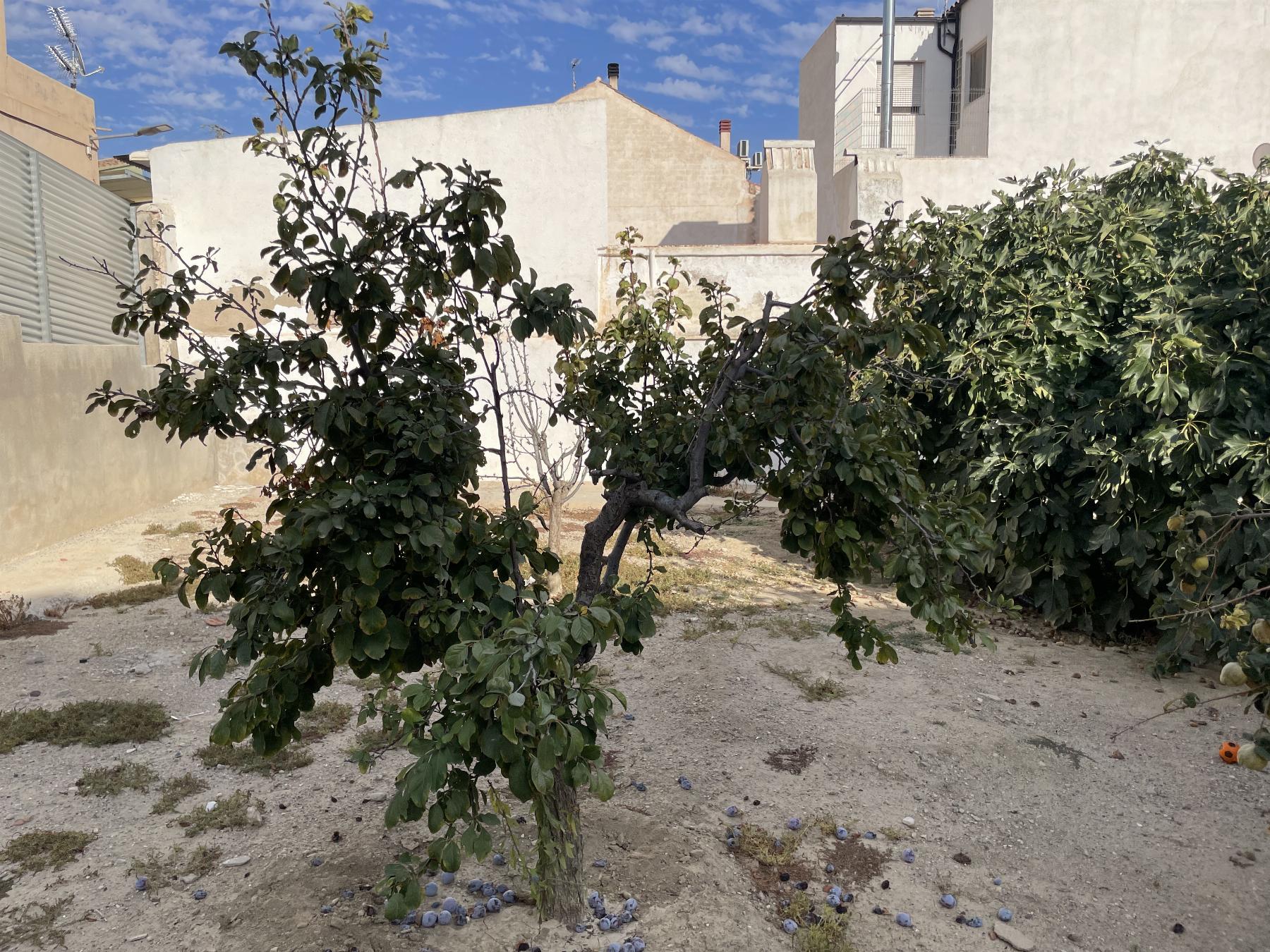 Venta de terreno en Lorca