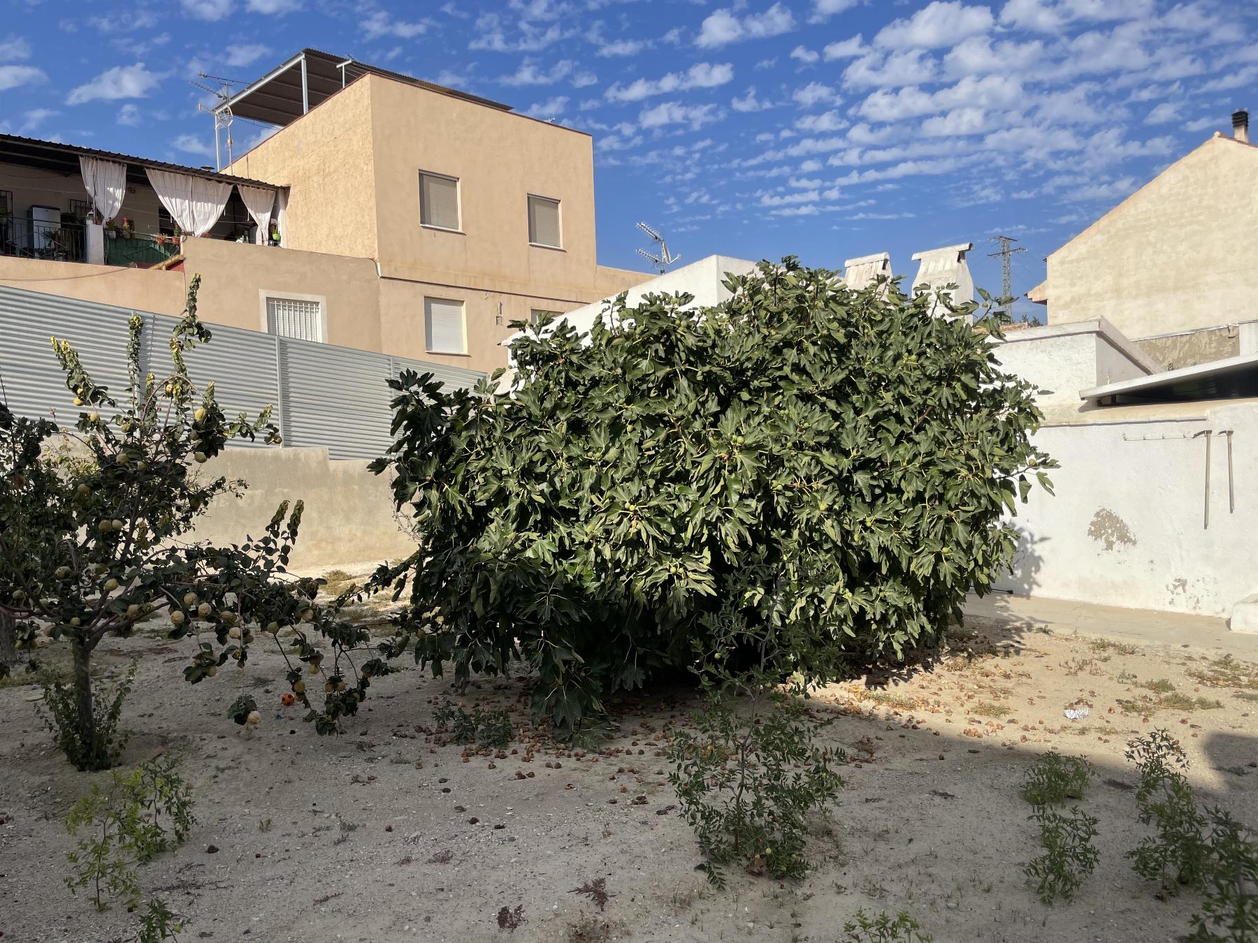 Venta de terreno en Lorca Venta de terreno en Lorca