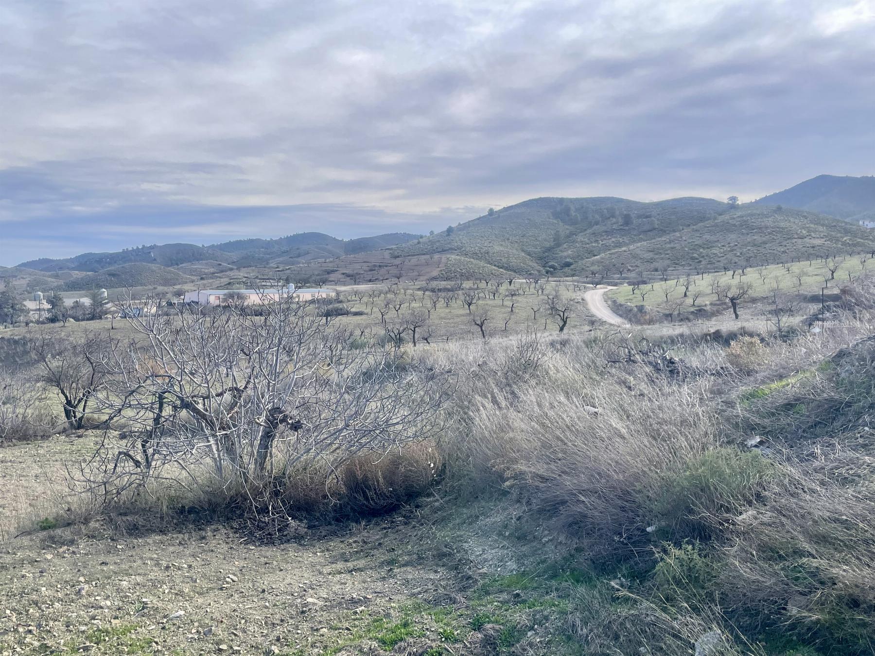 For sale of house in Lorca